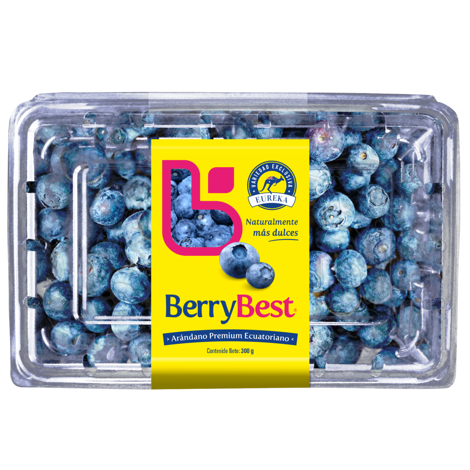 Arándanos Premium BERRYBEST 300 G