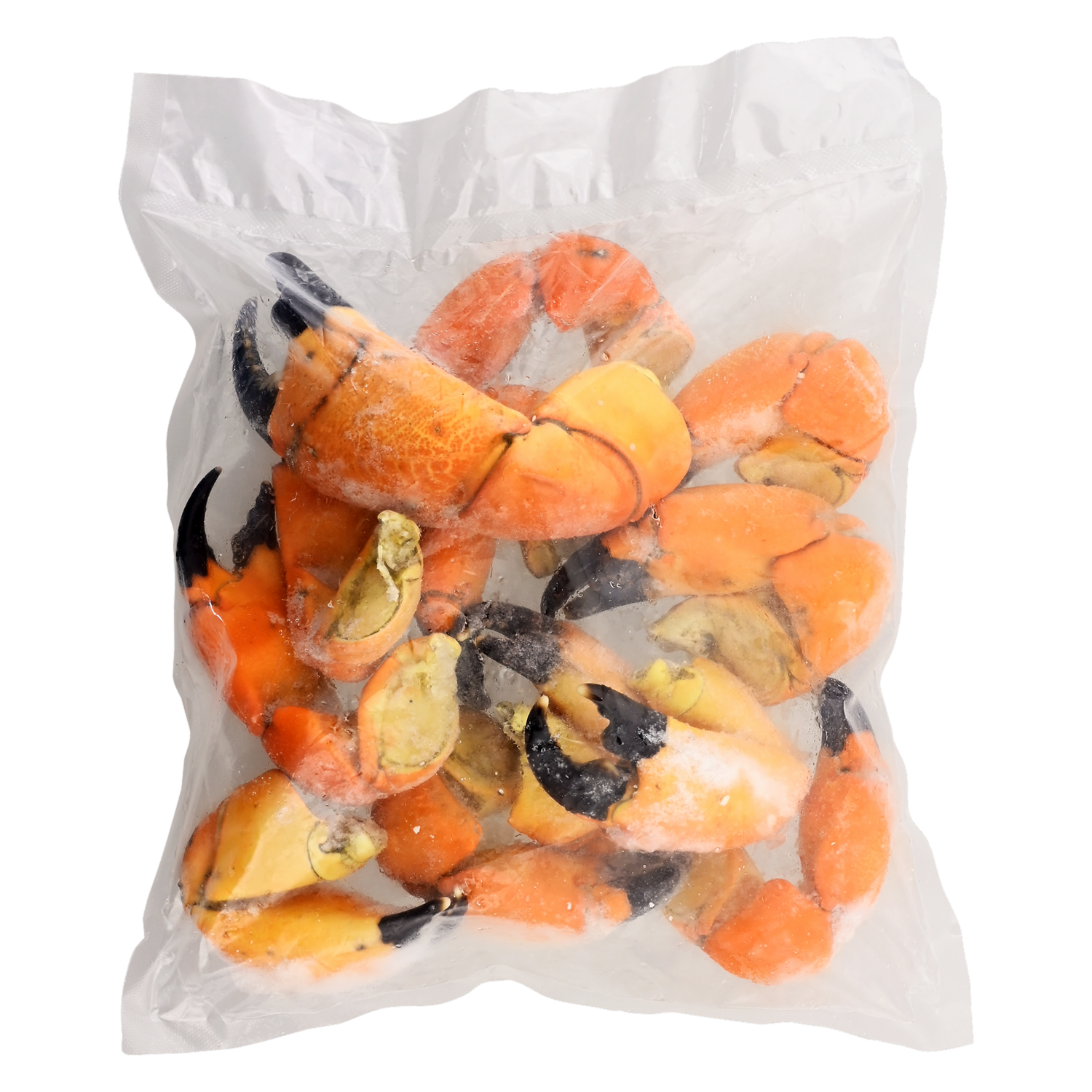 Pangora Tenaza TOMALA 1000 G