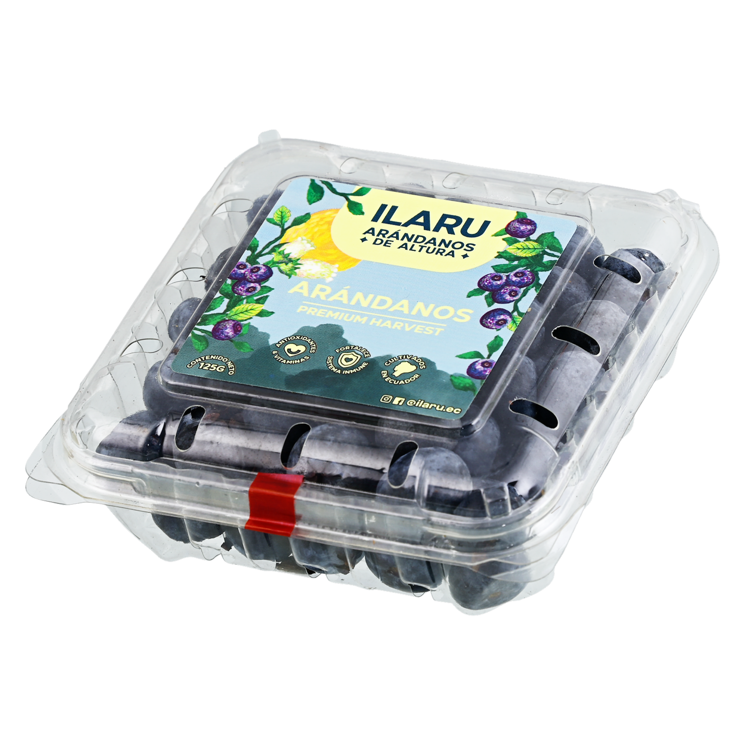 Arándanos Empacados ILARU 125 G