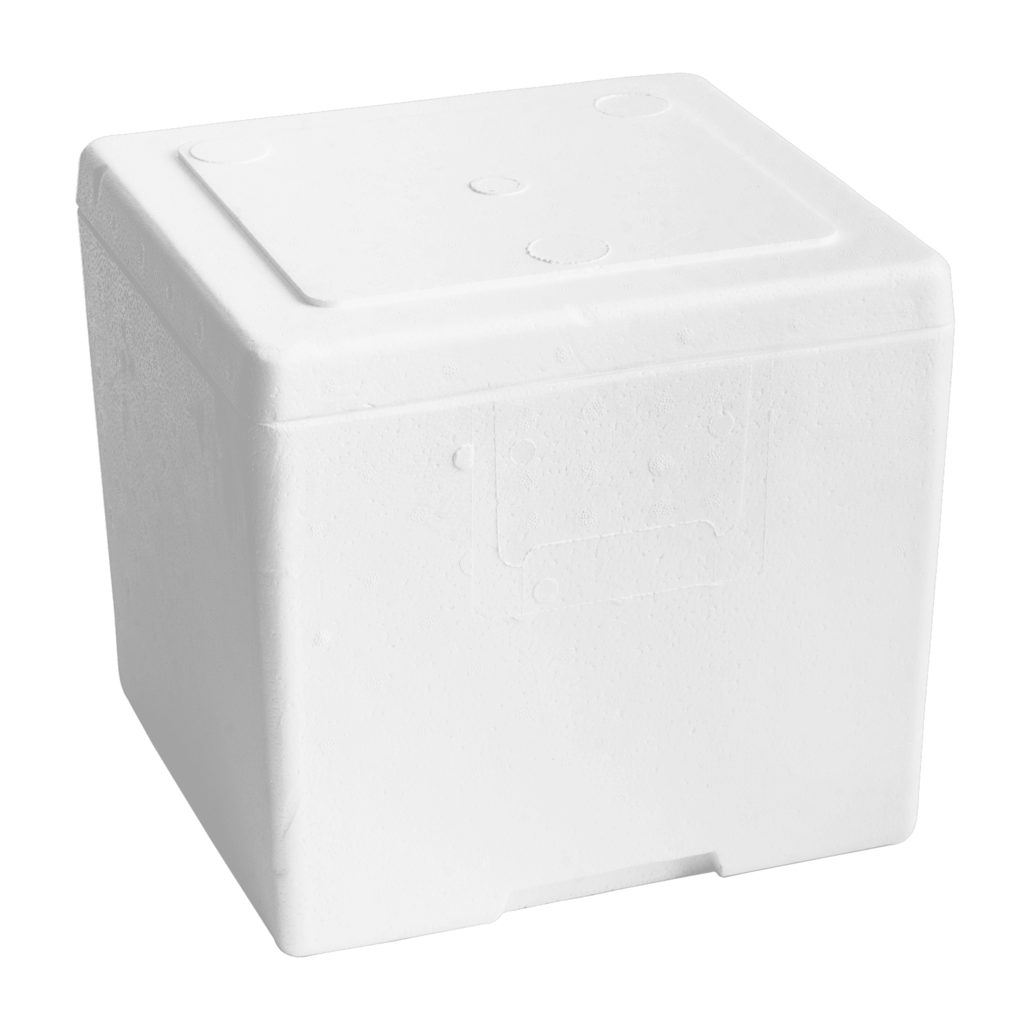 Hielera Térmica Con Tapa PLASTEX 9 Litros