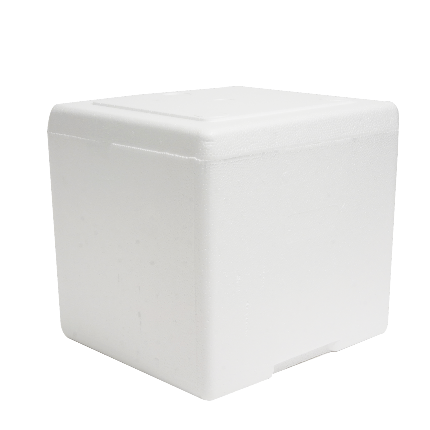 Hielera Térmica Con Tapa PLASTEX 9 Litros