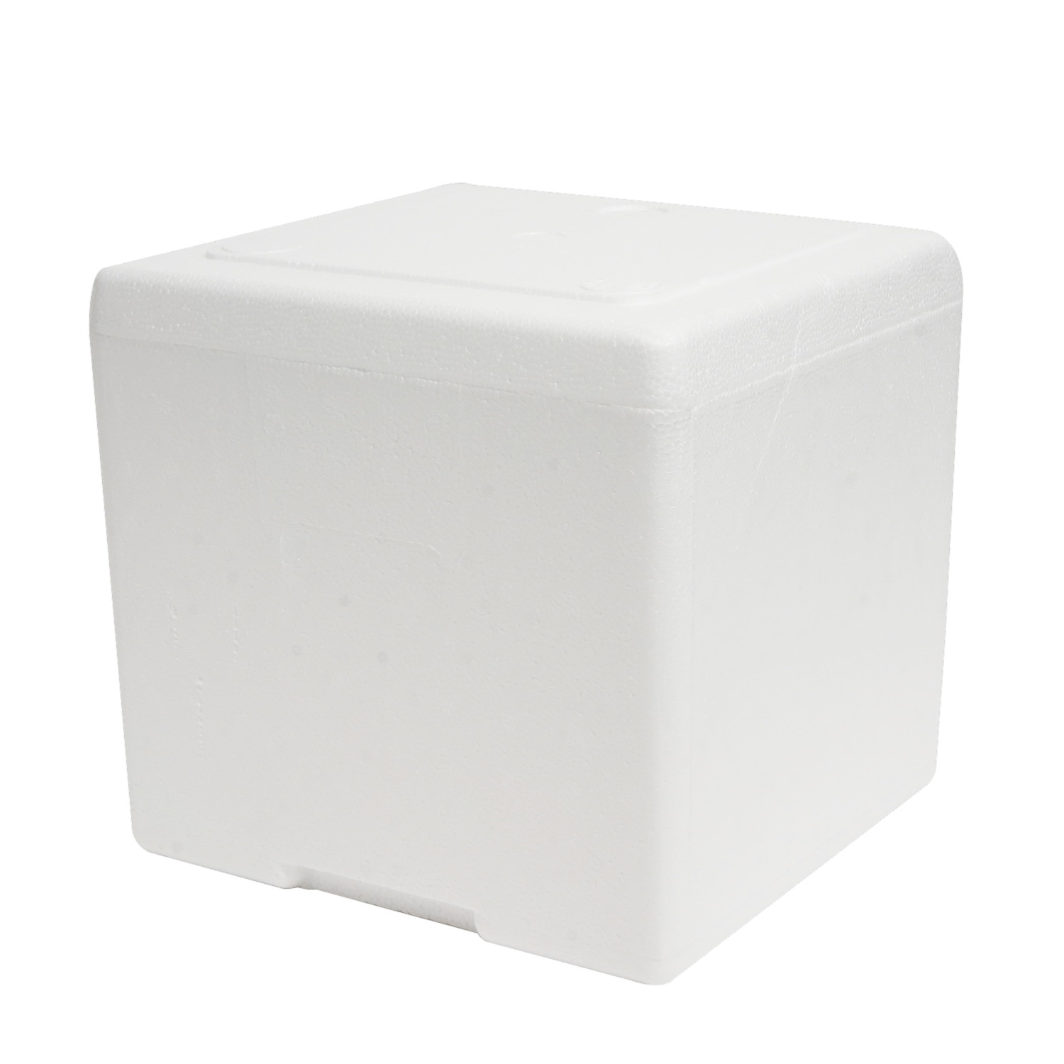 Hielera Térmica Con Tapa PLASTEX 9 Litros