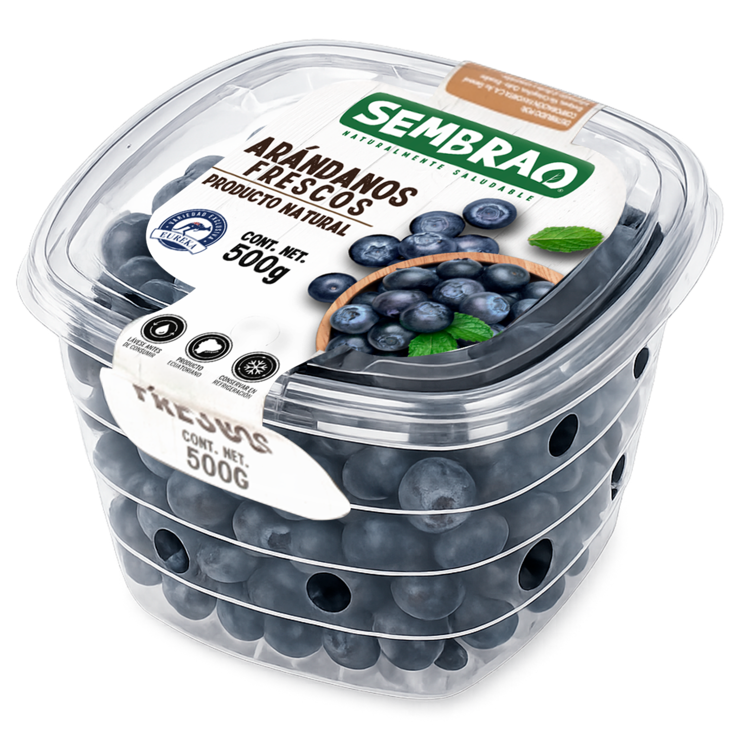 Arándanos Frescos SEMBRAO 500 G