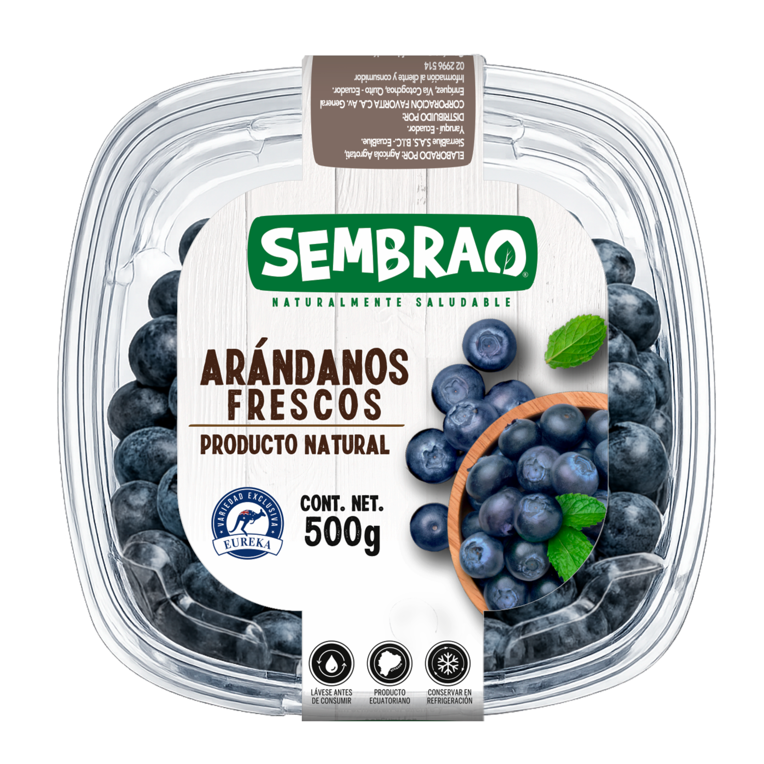 Arándanos Frescos SEMBRAO 500 G