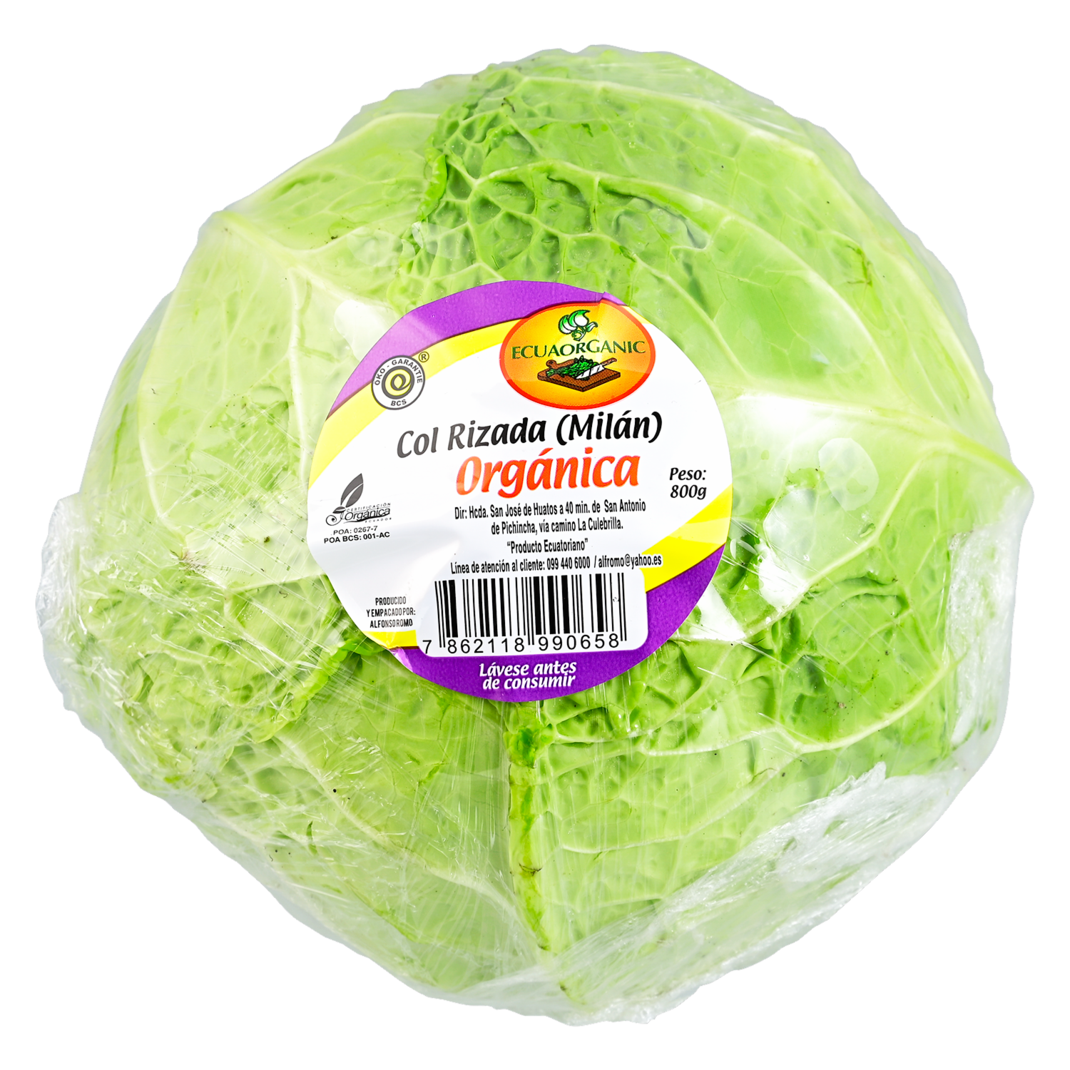 Col Rizada Orgánica ECUAORGANIC 800 G