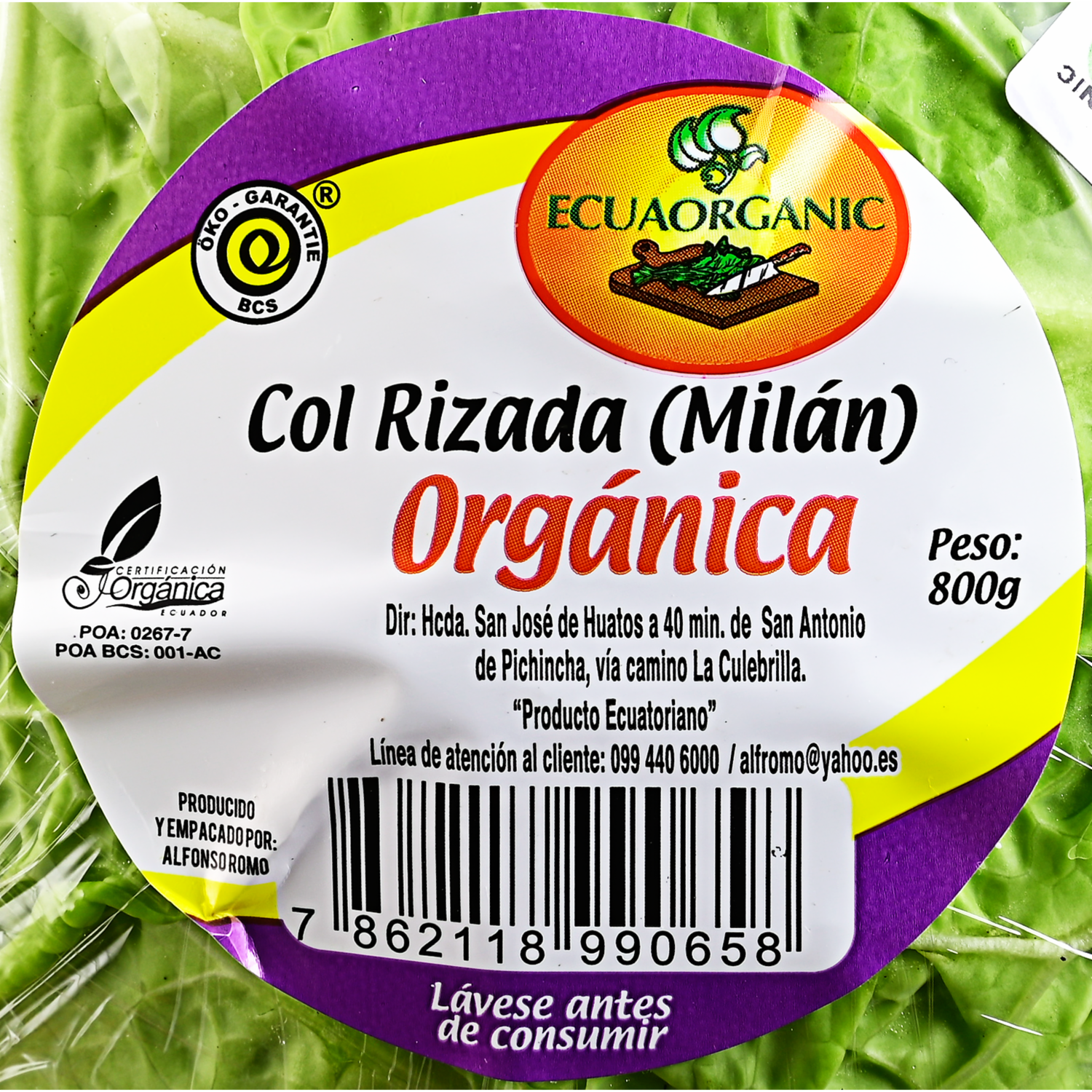 Col Rizada Orgánica ECUAORGANIC 800 G