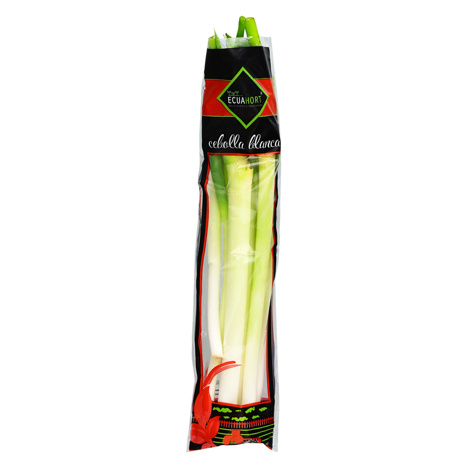 Cebolla Blanca Larga ECUAHORT 400 G