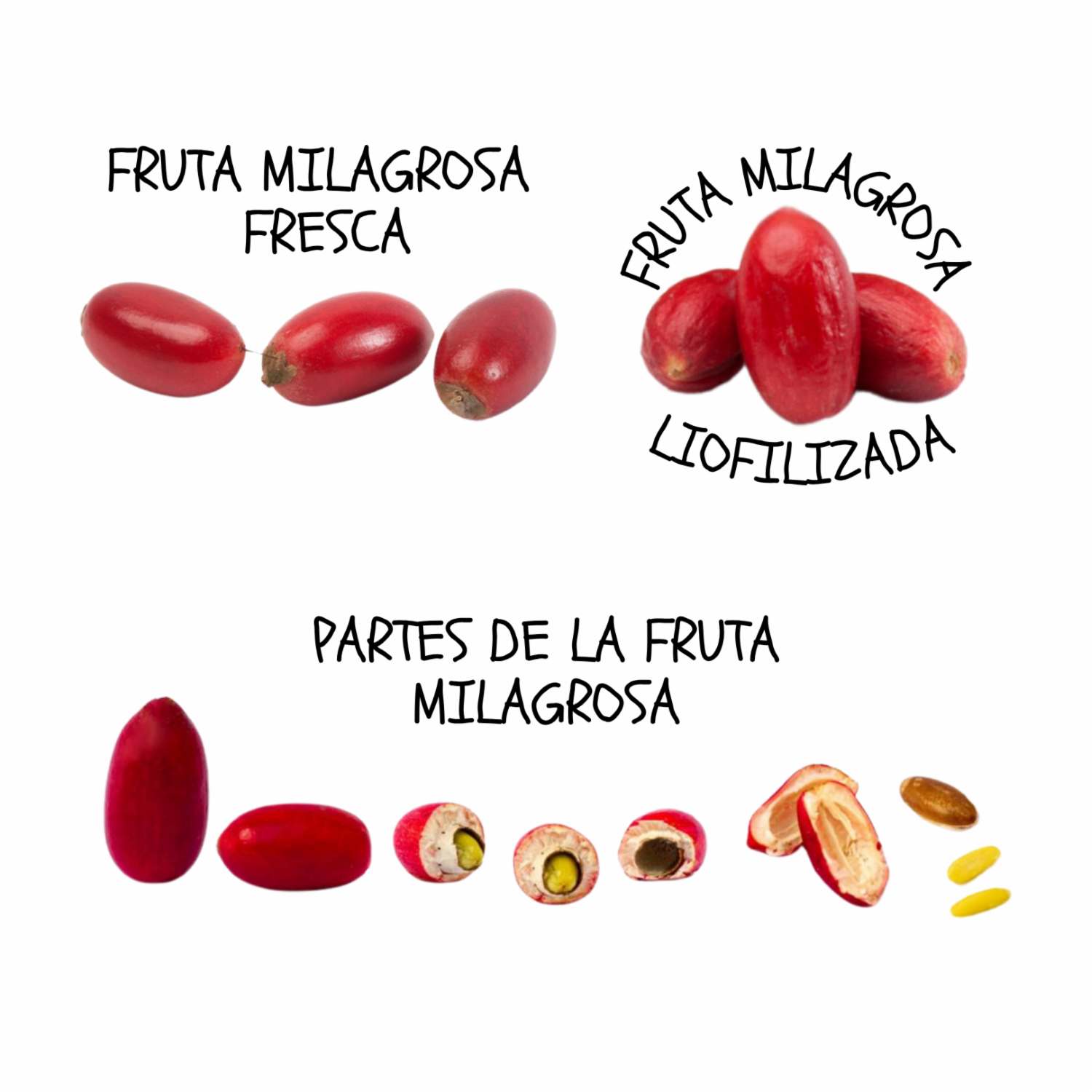 Fruta Milagrosa Liofilizada ZAFRÚ 2 G