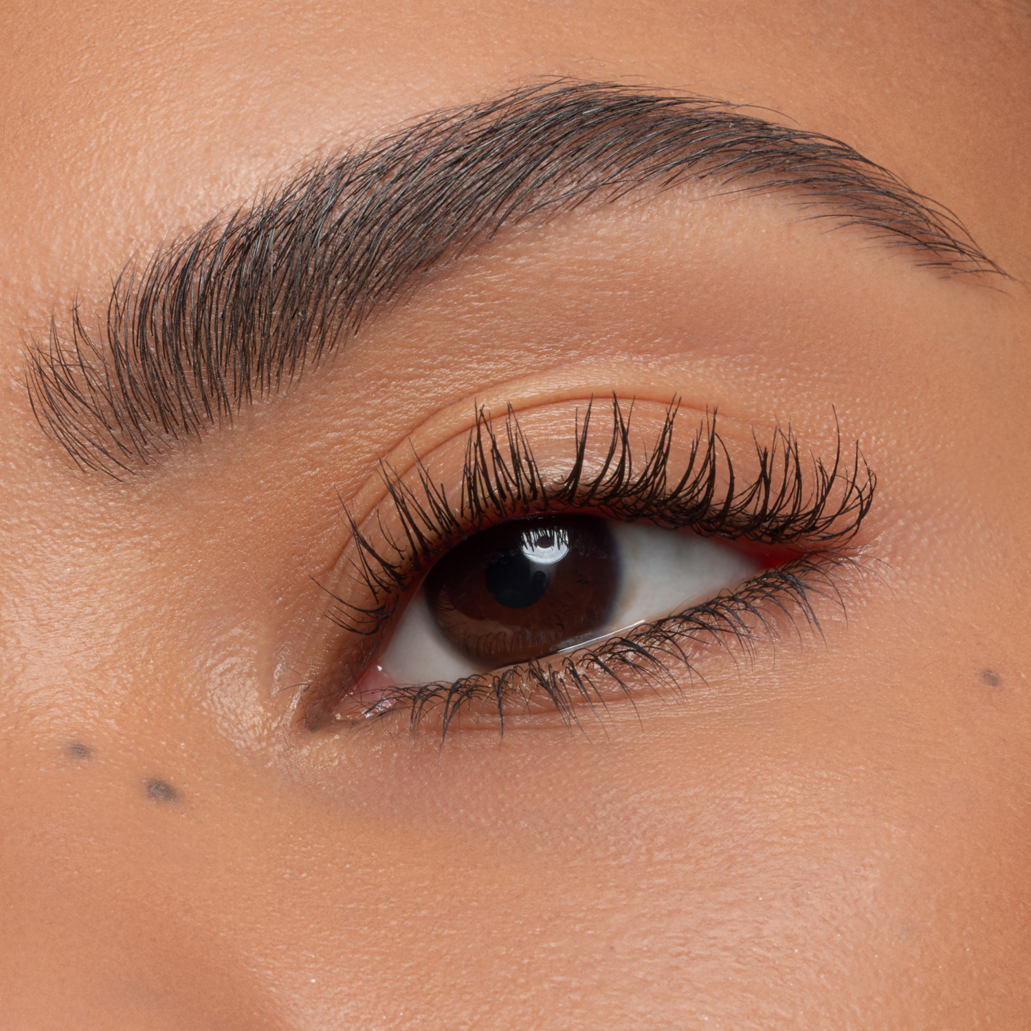 Máscara De Pestañas Lash Without Limits Extreme Lengthening & Volume ESSENCE 13 Ml