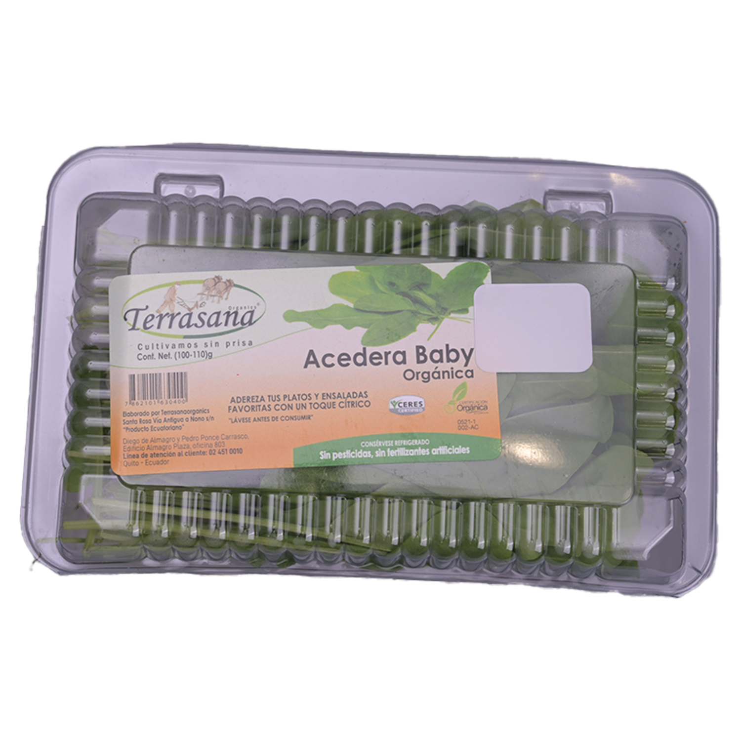 Acedera Baby Orgánica TERRASANA 100G
