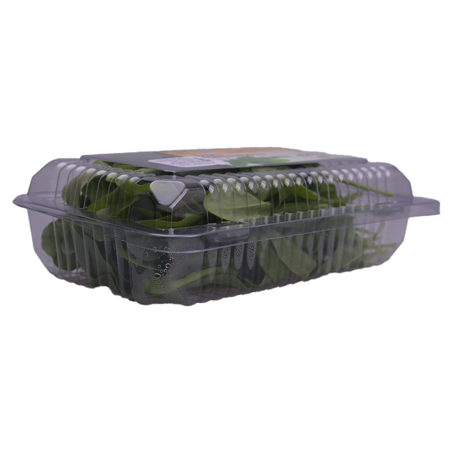 Acedera Baby Orgánica TERRASANA 100G