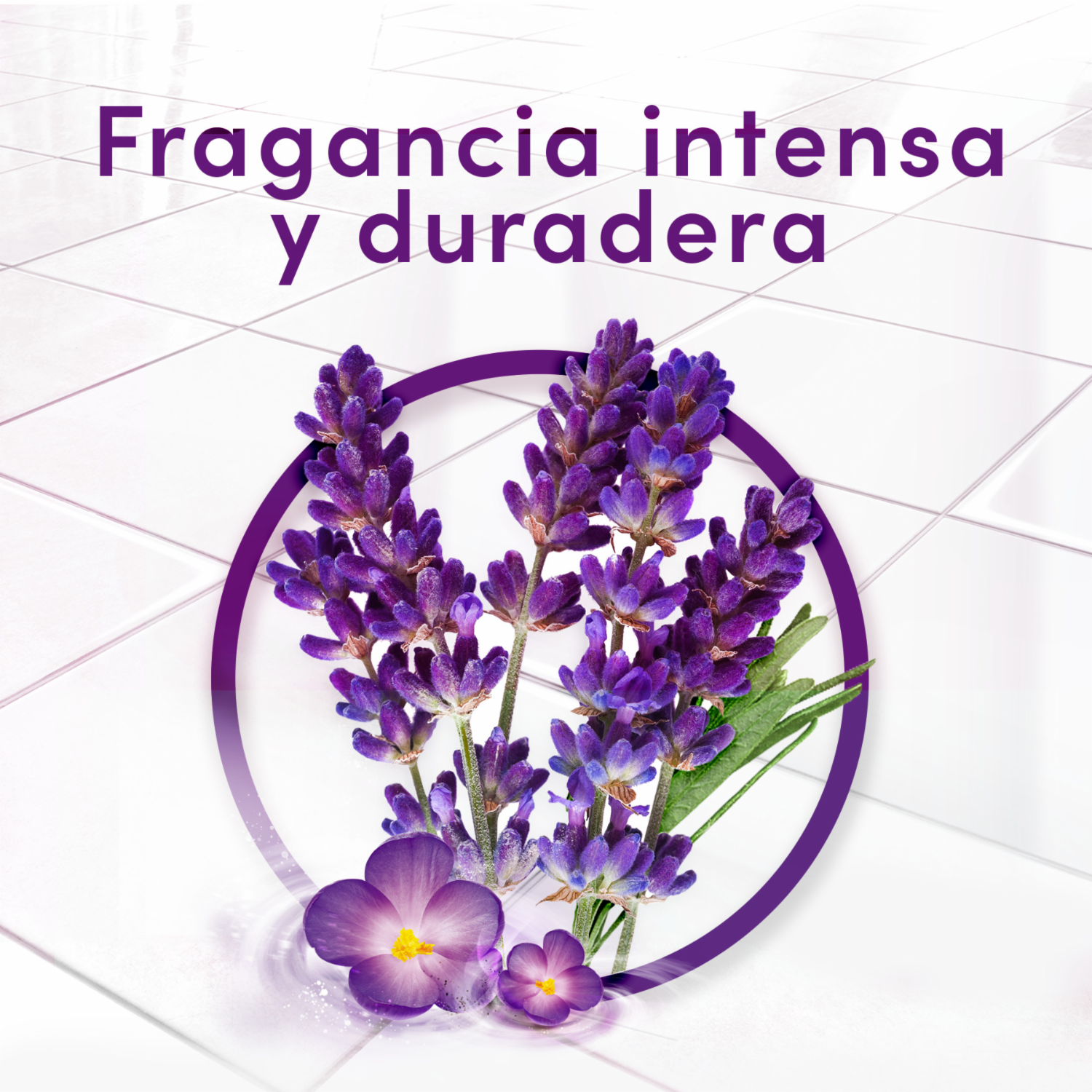Limpiador Líquido Antibacterial Desinfectante Lavanda FABULOSO 1000 Ml