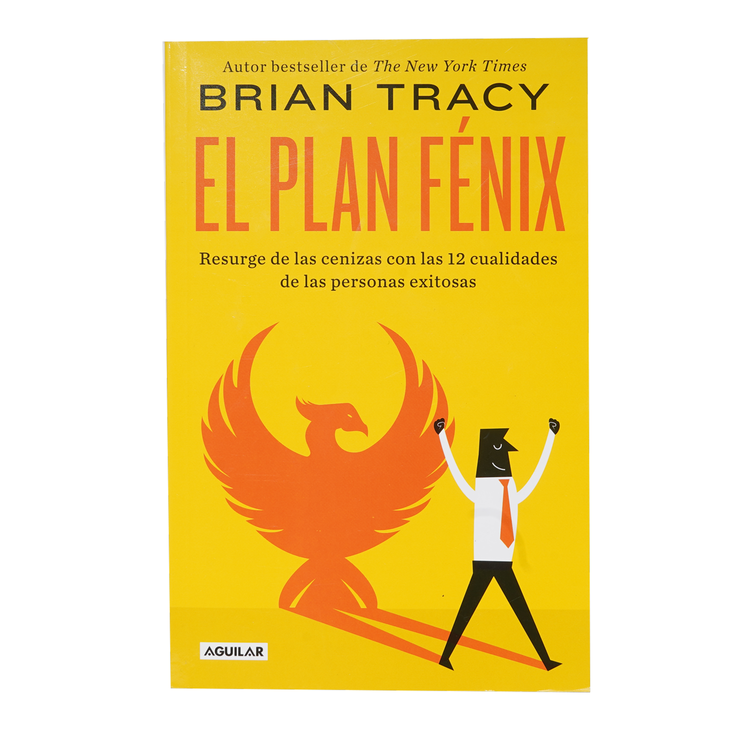 Libro El Plan Fénix AGUILAR 233 Páginas