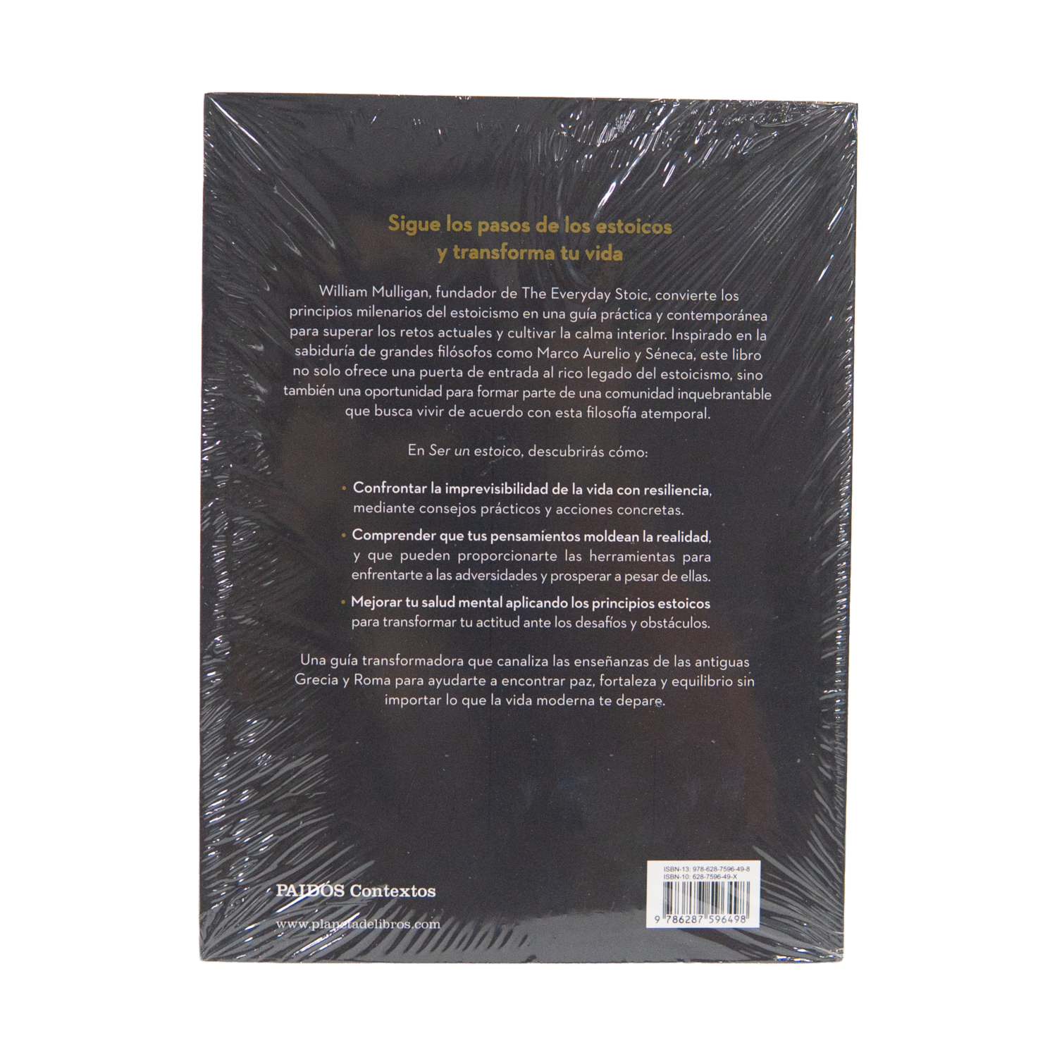 Libro Ser Un Estoico PAIDÓS 248 Páginas