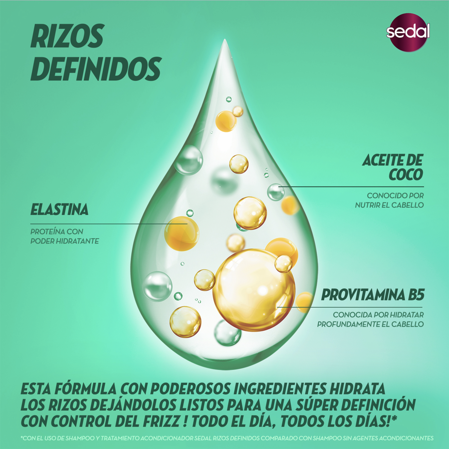 Shampoo De Cabello Rizos Definidos SEDAL 190 Ml