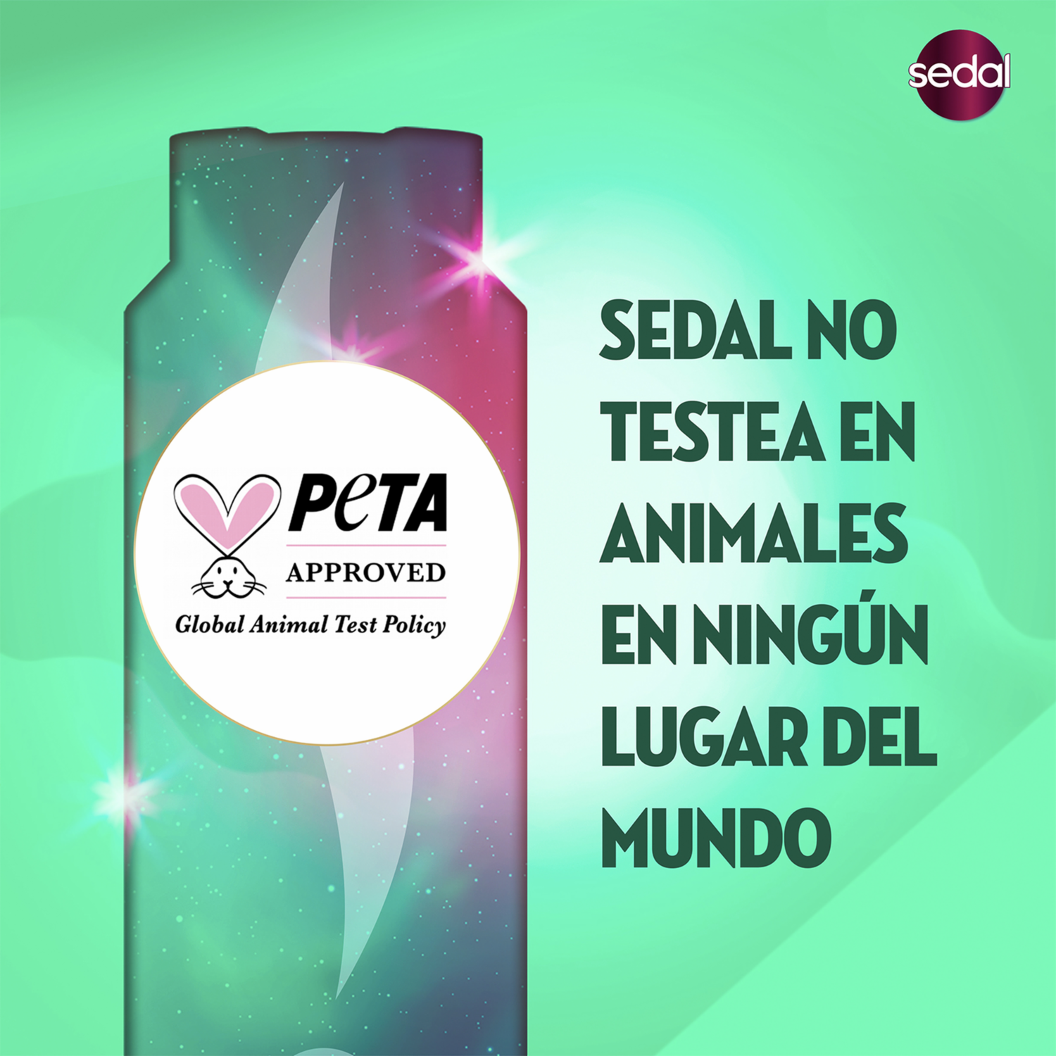 Shampoo De Cabello Rizos Definidos SEDAL 190 Ml