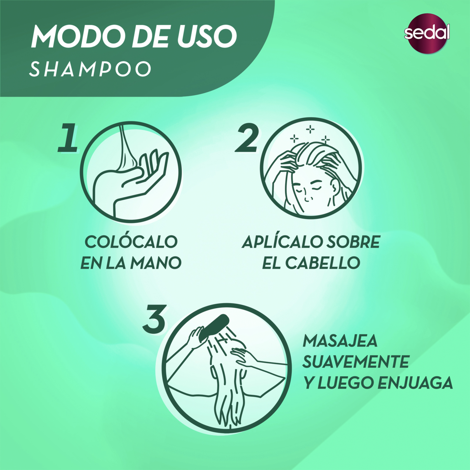 Shampoo De Cabello Rizos Definidos SEDAL 340 Ml