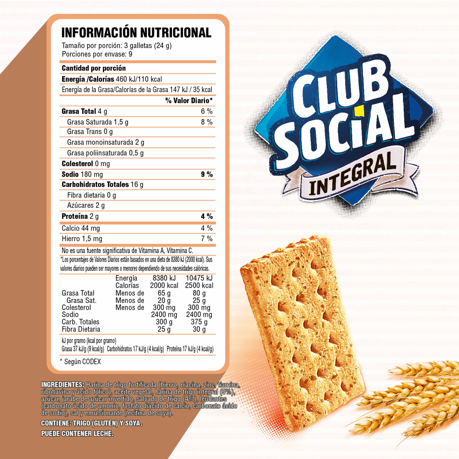 Galletas Integrales De Sal CLUB SOCIAL 216 G