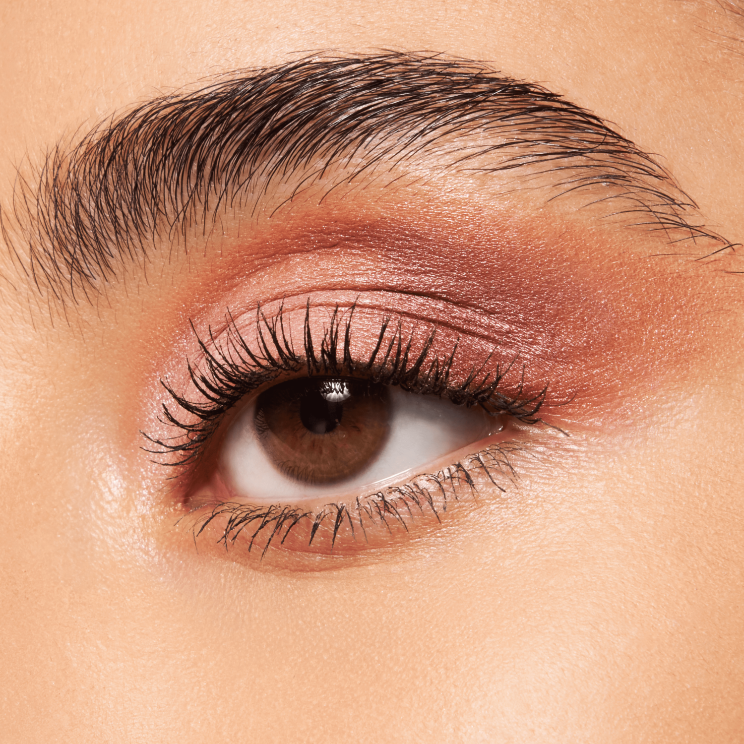 Paleta De Sombras The Brown Edition ESSENCE