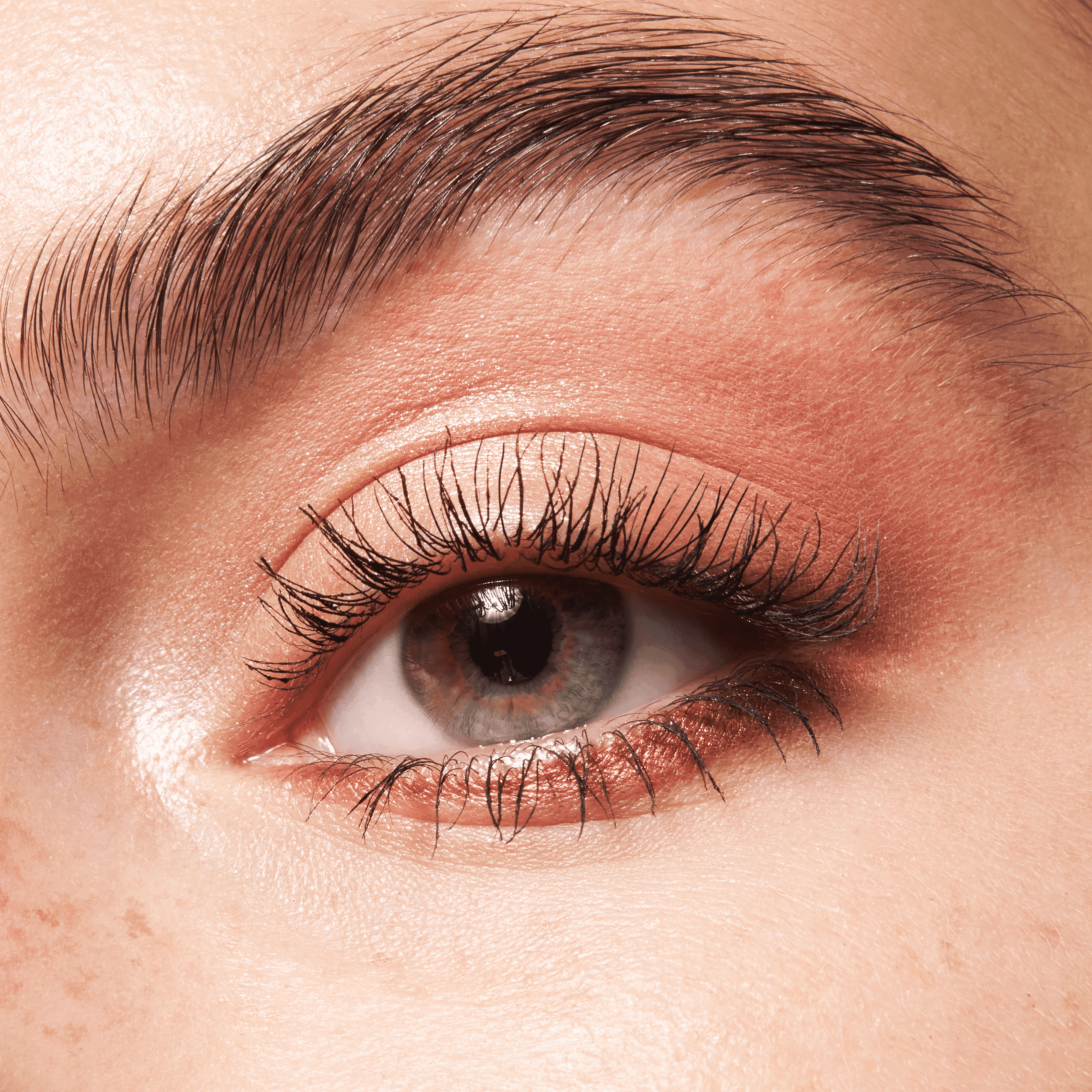 Paleta De Sombras The Brown Edition ESSENCE