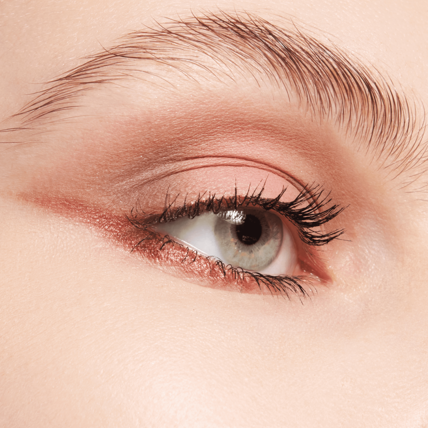 Paleta De Sombras The Brown Edition ESSENCE