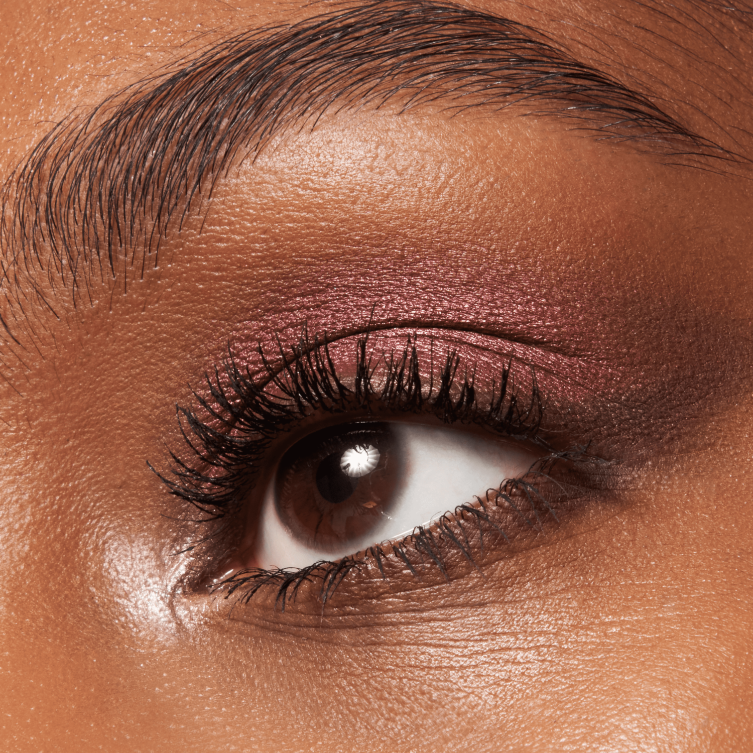Paleta De Sombras The Brown Edition ESSENCE