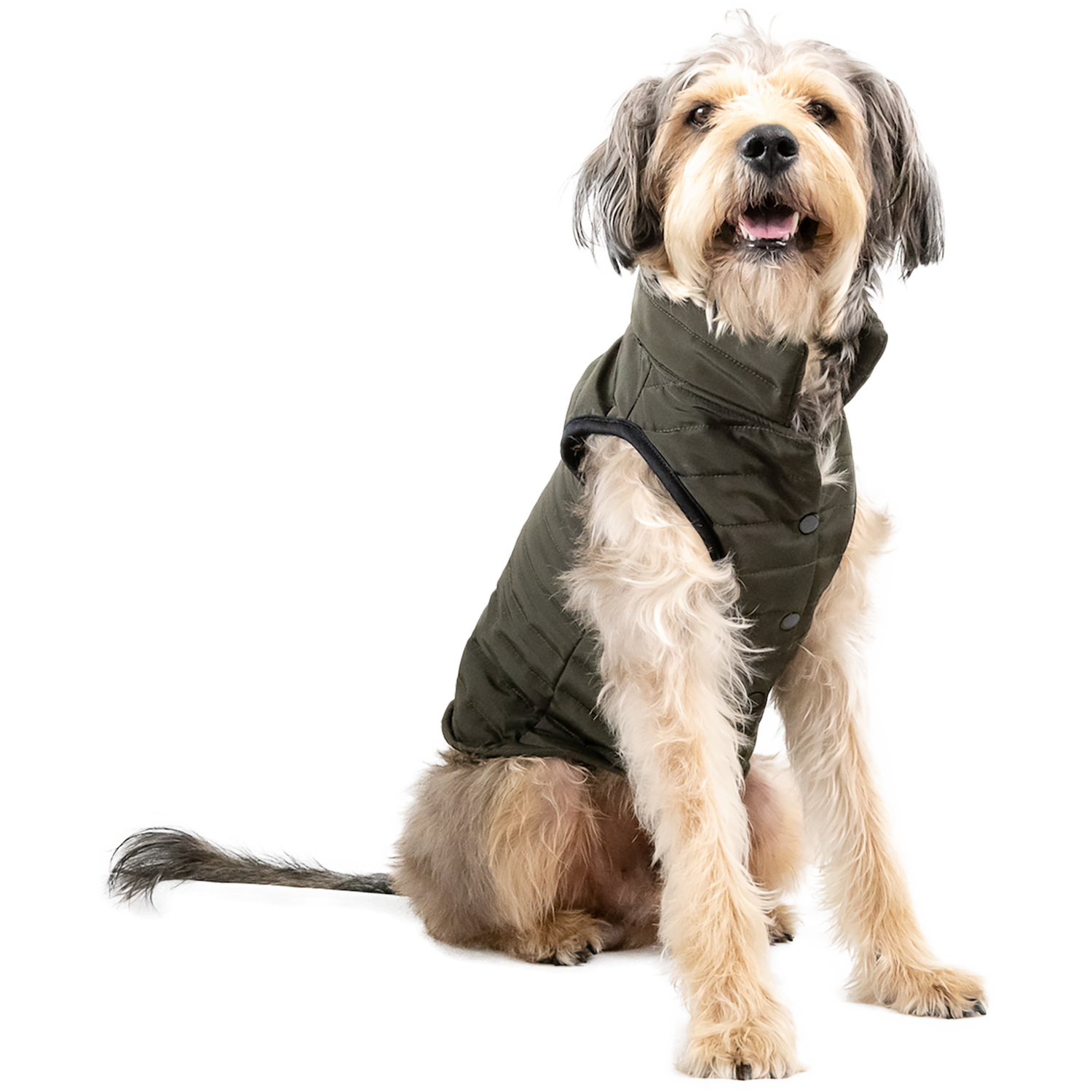 Chaleco Para Mascota Acolchado Verde NENUU Talla Extra Extra Grande