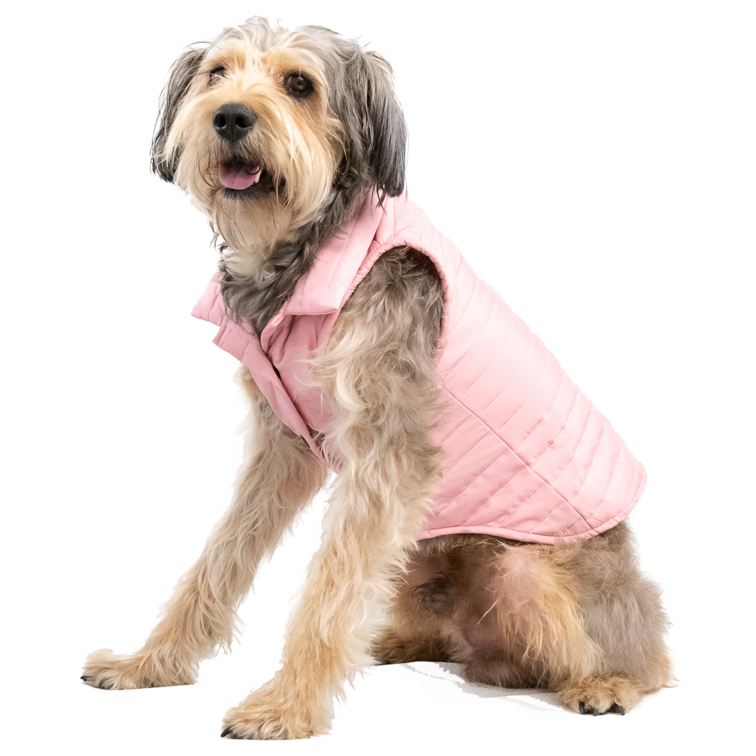 Chaleco Para Mascota Acolchado Rosa NENUU Talla 3 Extra Grande