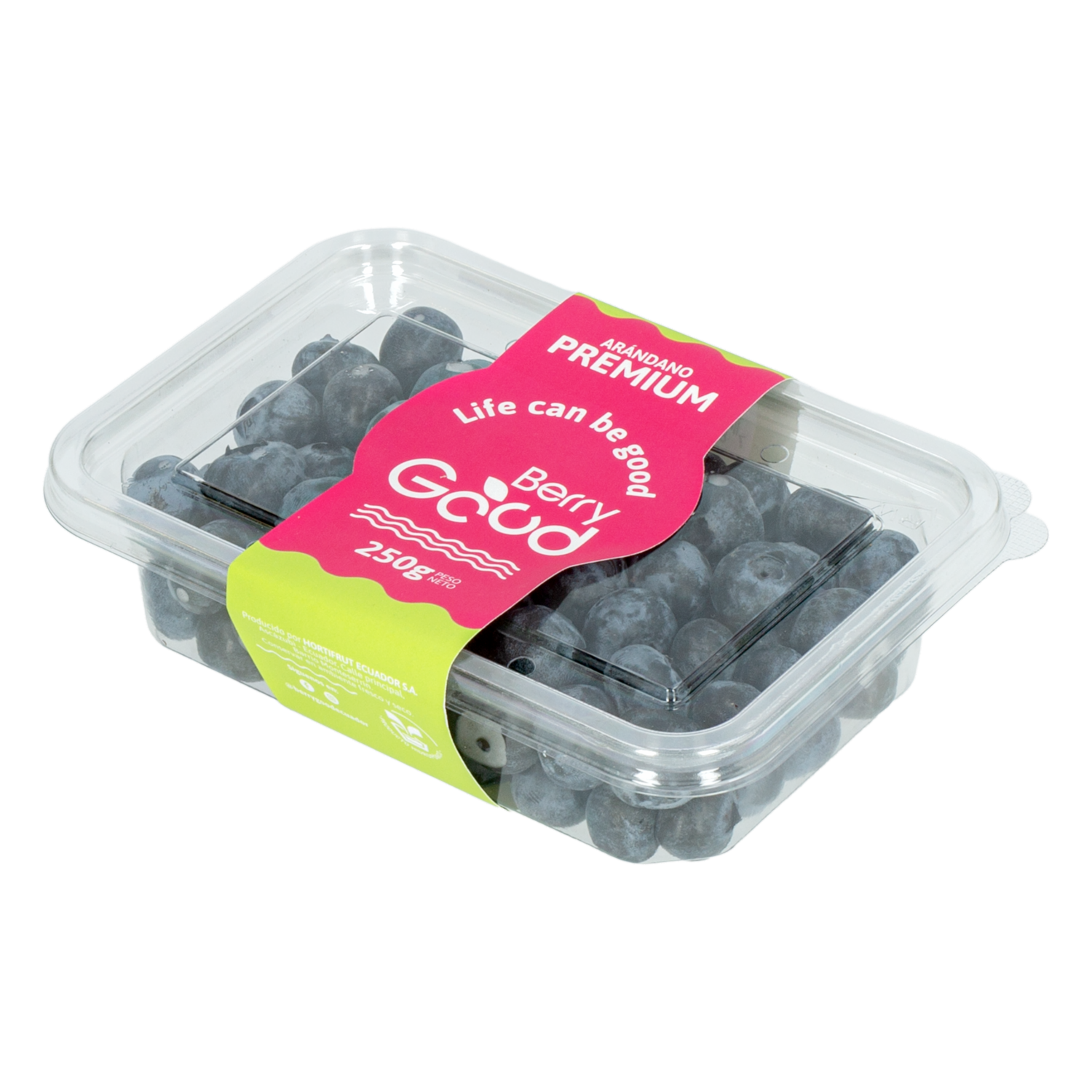 Arándanos Premium Jumbo BERRY GOOD 250 G