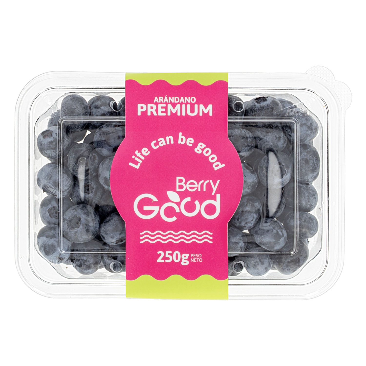 Arándanos Premium Jumbo BERRY GOOD 250 G