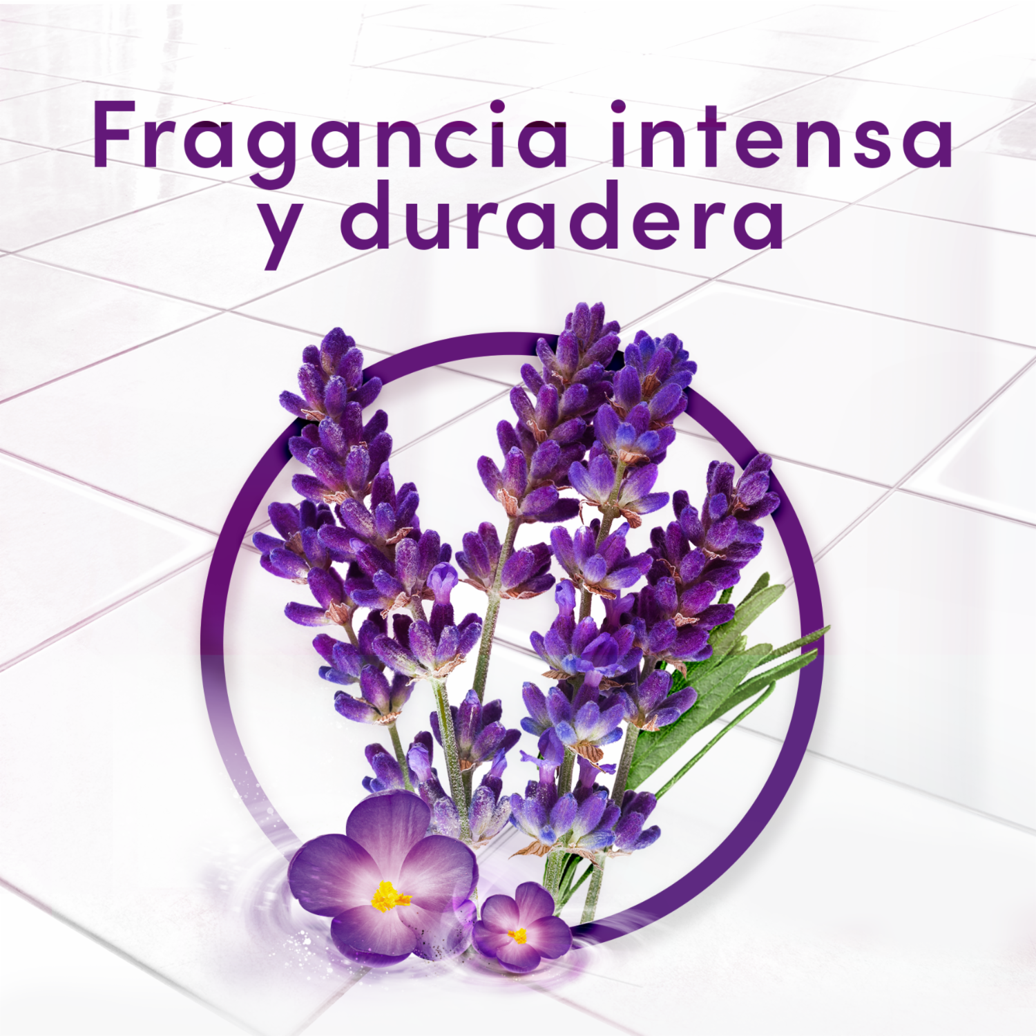 Limpiador Líquido Antibacterial Desinfectante Lavanda FABULOSO 5000 Ml