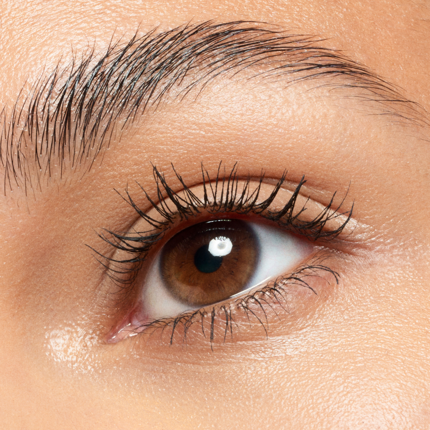 Máscara De Cejas Transparente Secado Rápido CATRICE 6 Ml