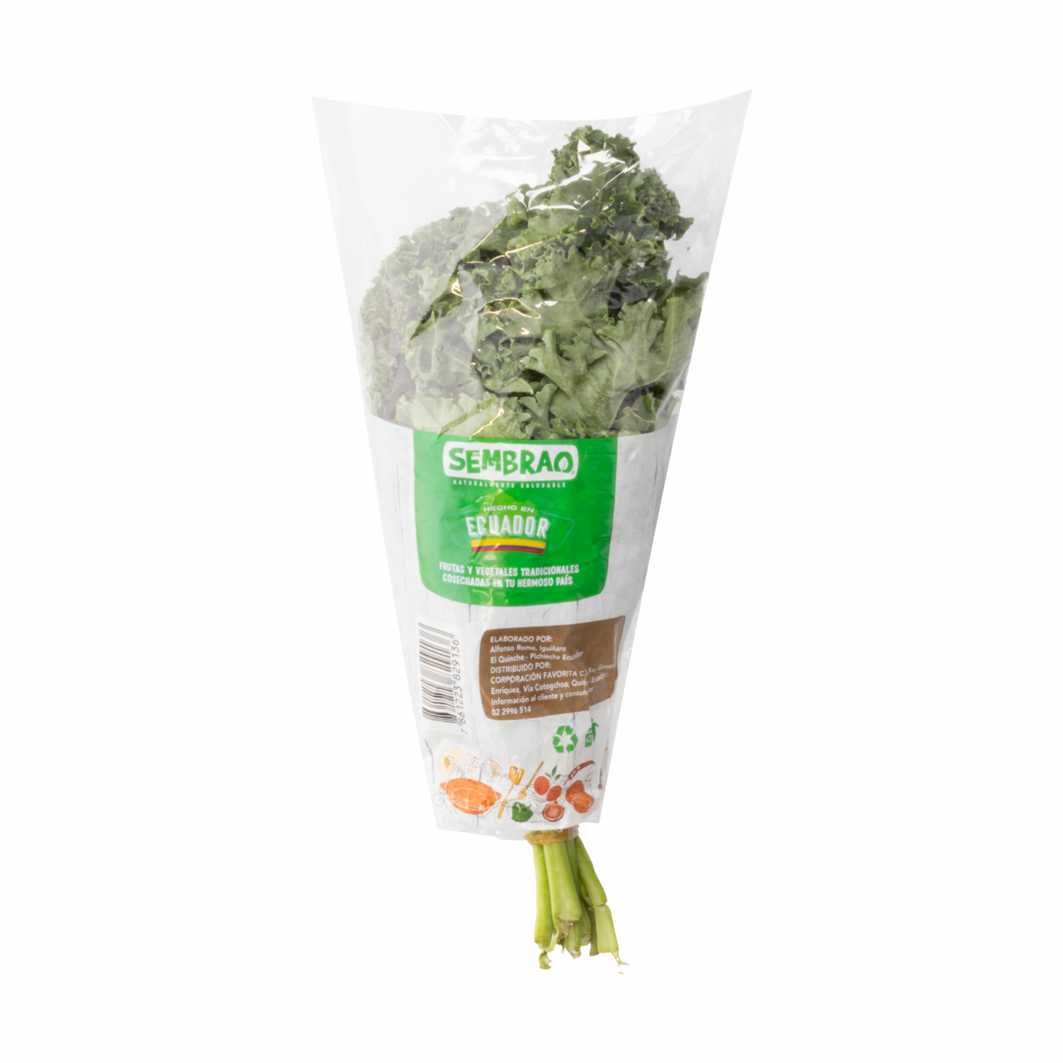 Kale Producto Natural SEMBRAO 150 G
