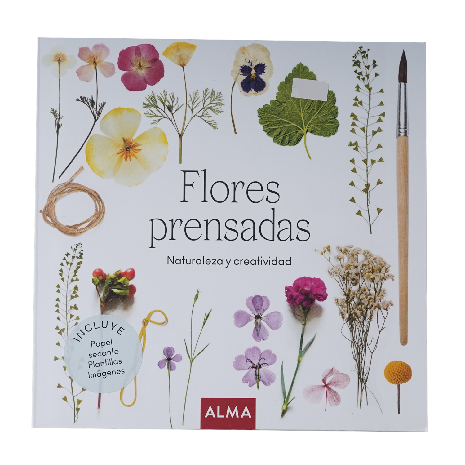 Libro Flores Presadas Naturaleza Y Cre MR.BOOKS 35 Páginas