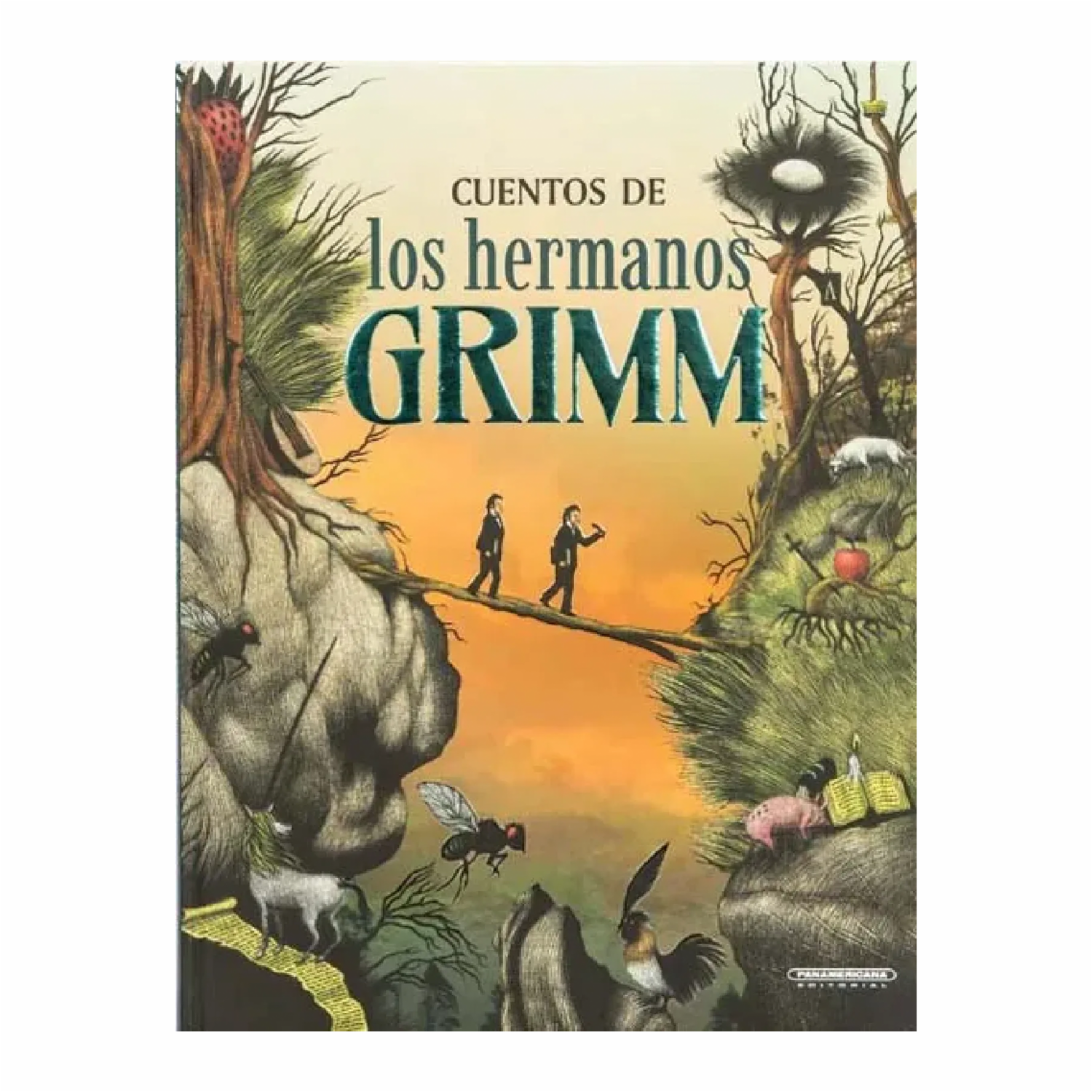 Libro Cuentos De Los Hermanos Grimm PANAMERICANA EDITORIAL 196 Páginas