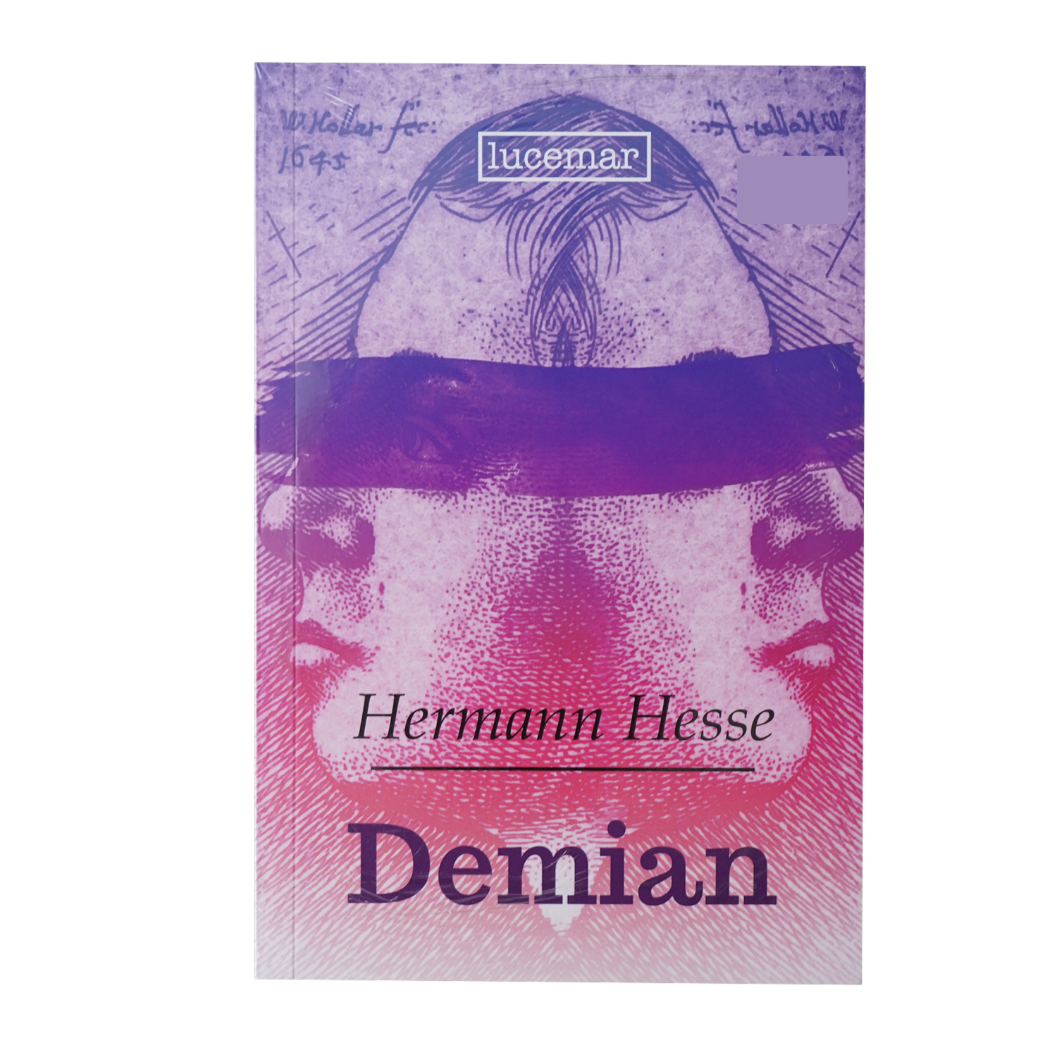 Libro Demian PLUTÓN 189 Páginas