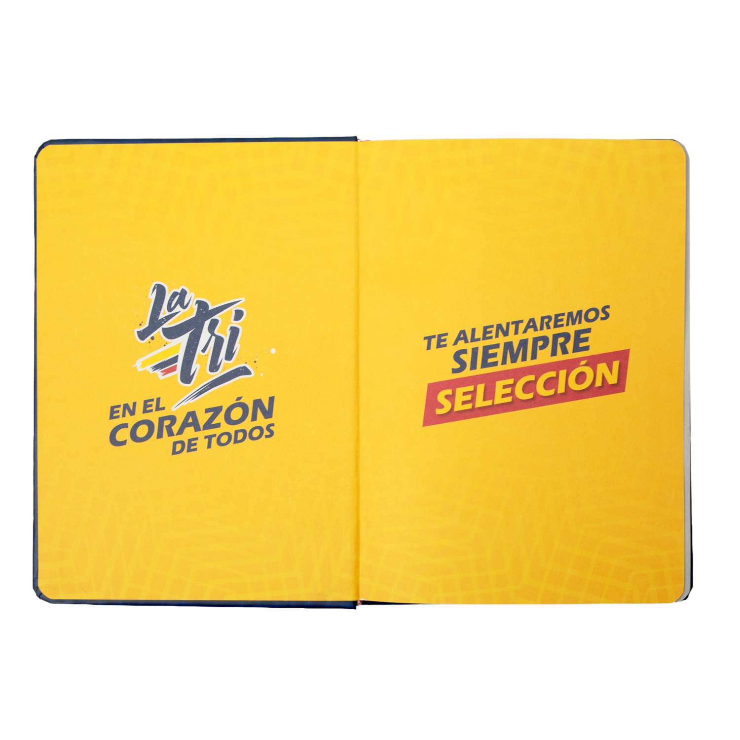 Libreta Pasta Dura Azul Cuadros FEF 80 Hojas