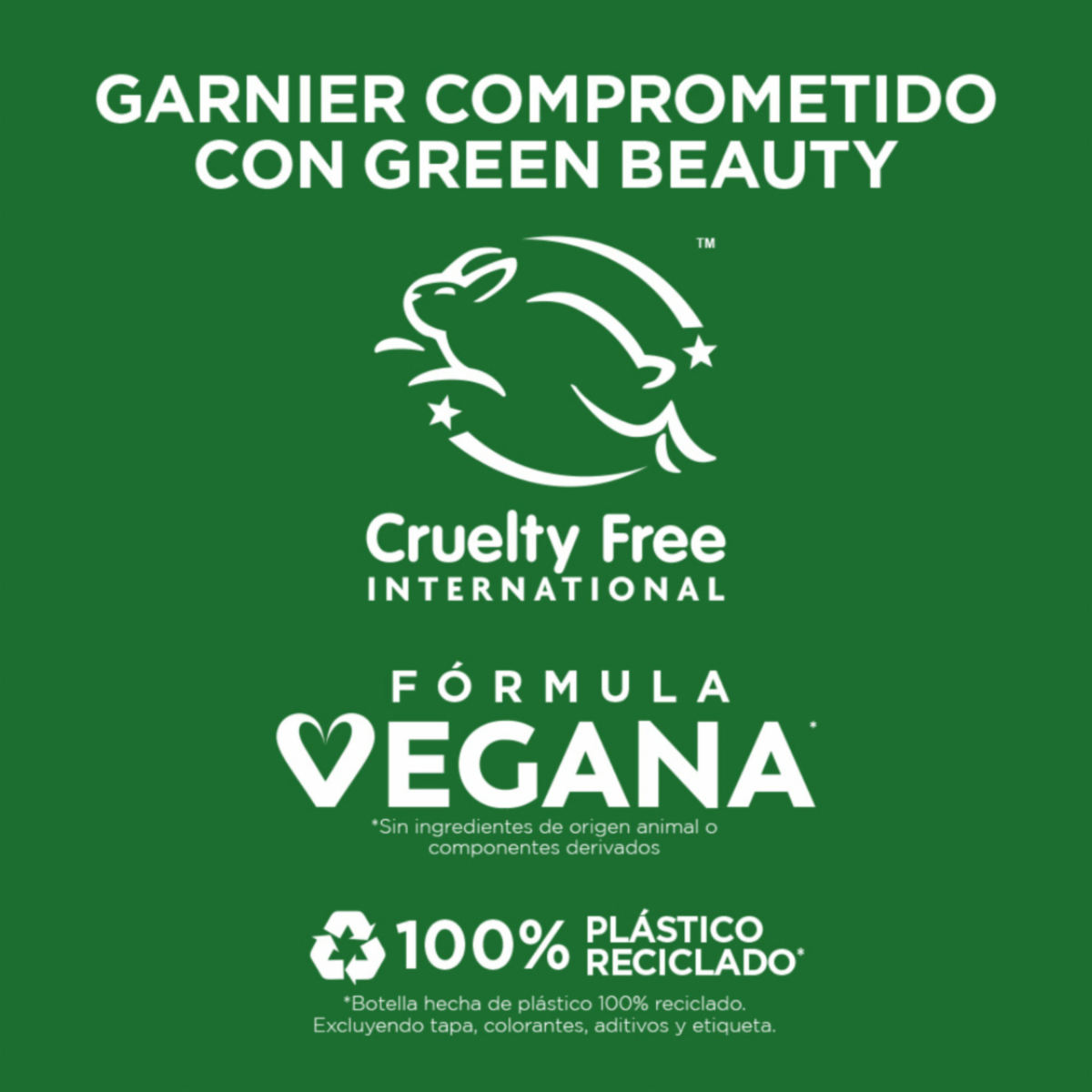 Shampoo Para Cabello Adiós Esponjado GARNIER FRUCTIS 650 Ml