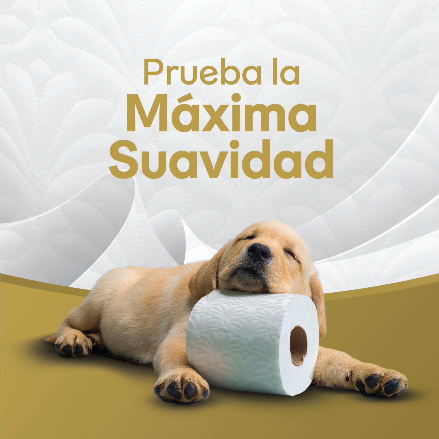 Papel Higiénico Premium 40m SCOTT 4 Rollos