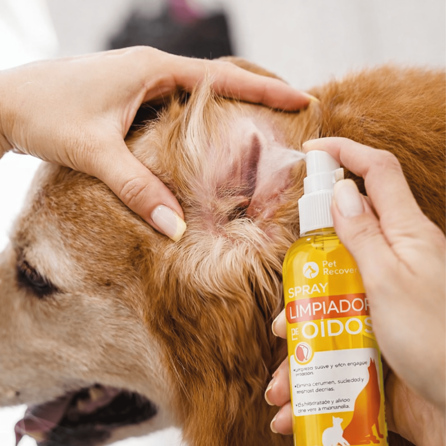 Limpiador De Oídos En Spray PET AUTHORITY 120 Ml