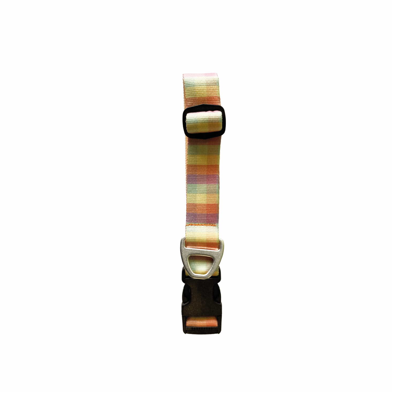 Collar Para Perro Diseño  Urbano Arcoíris BETOVEN 2.5 Cm
