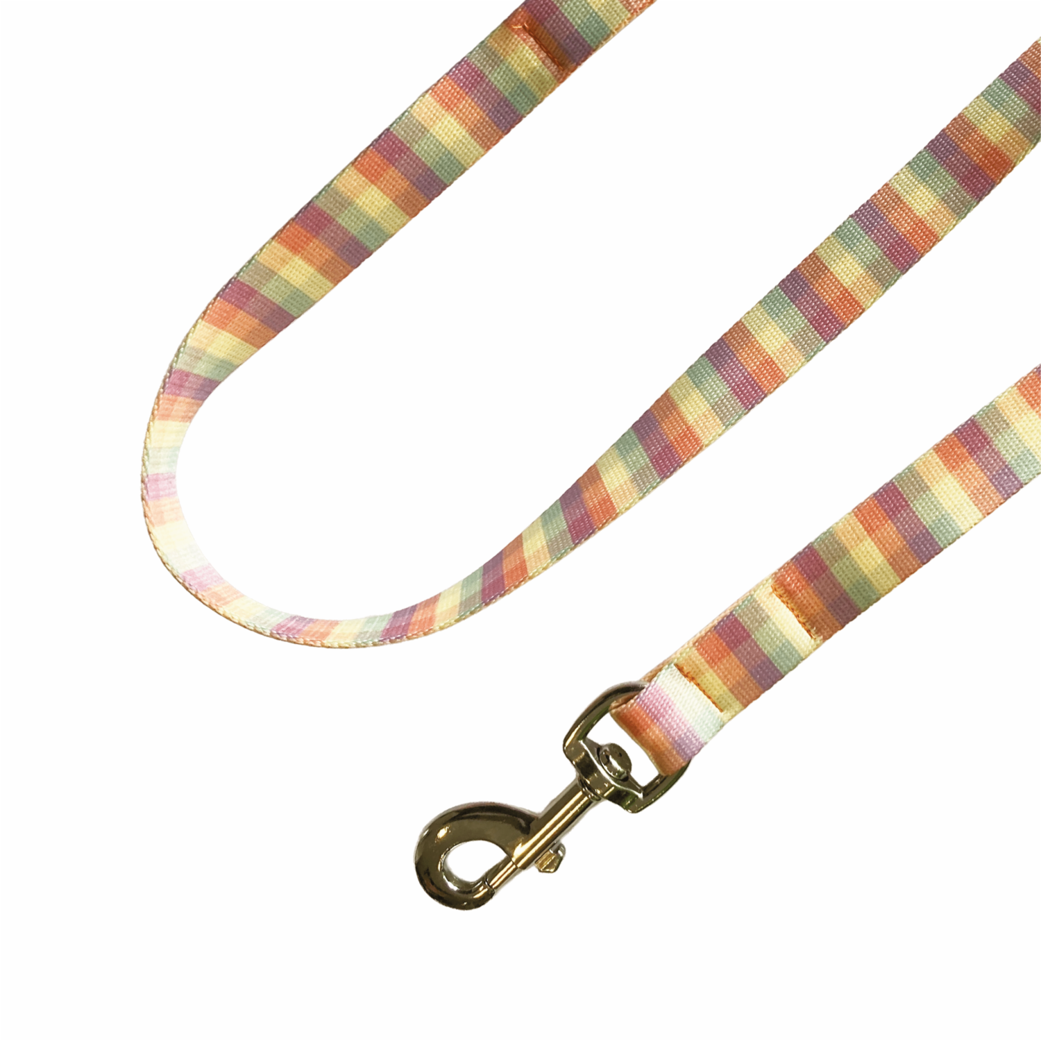 Arnés Para Perro Diseño  Urbano Arcoíris BETOVEN 1.5 Cm