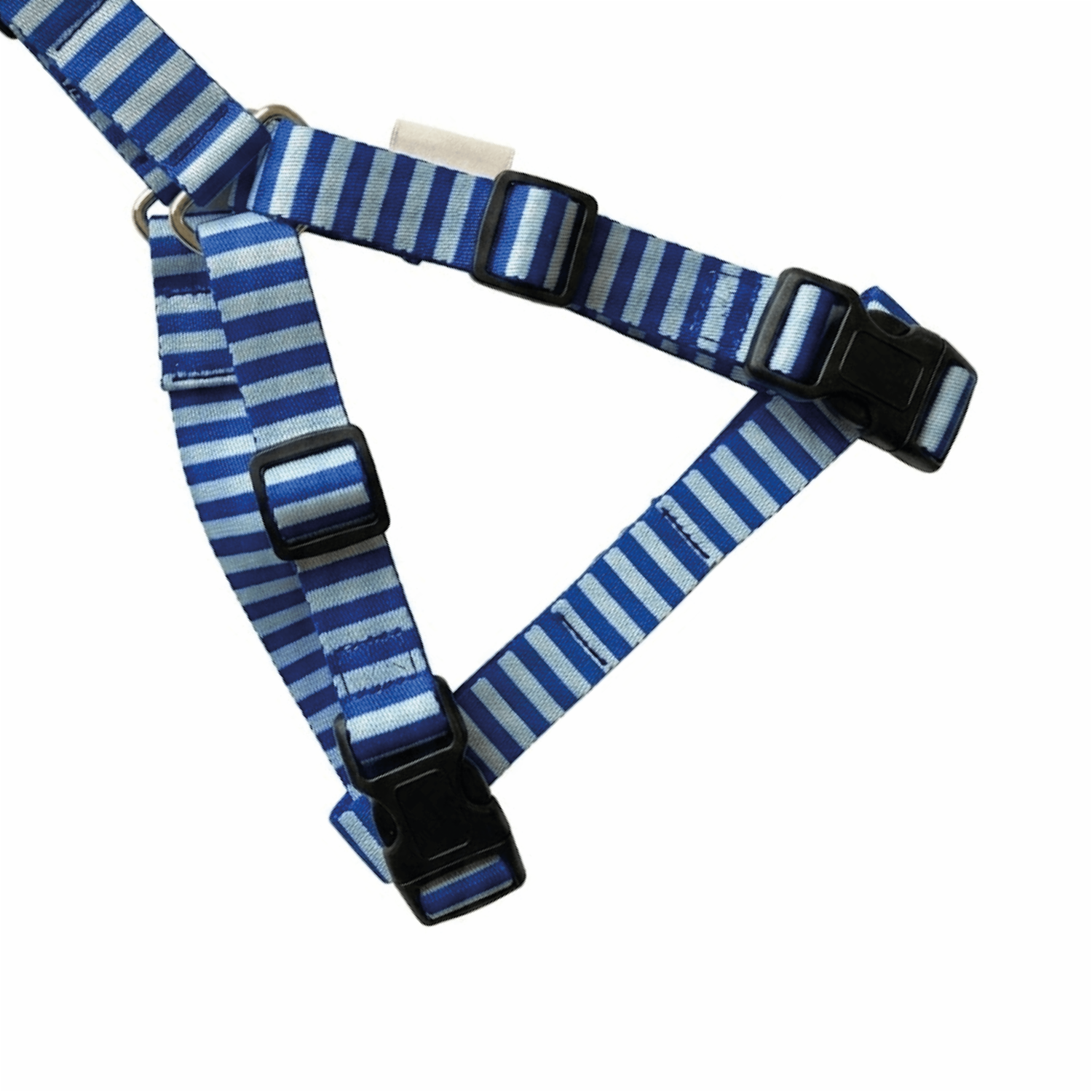 Traílla Para Perro Diseño  Urbano Rayas Azul BETOVEN 2.5 Cm