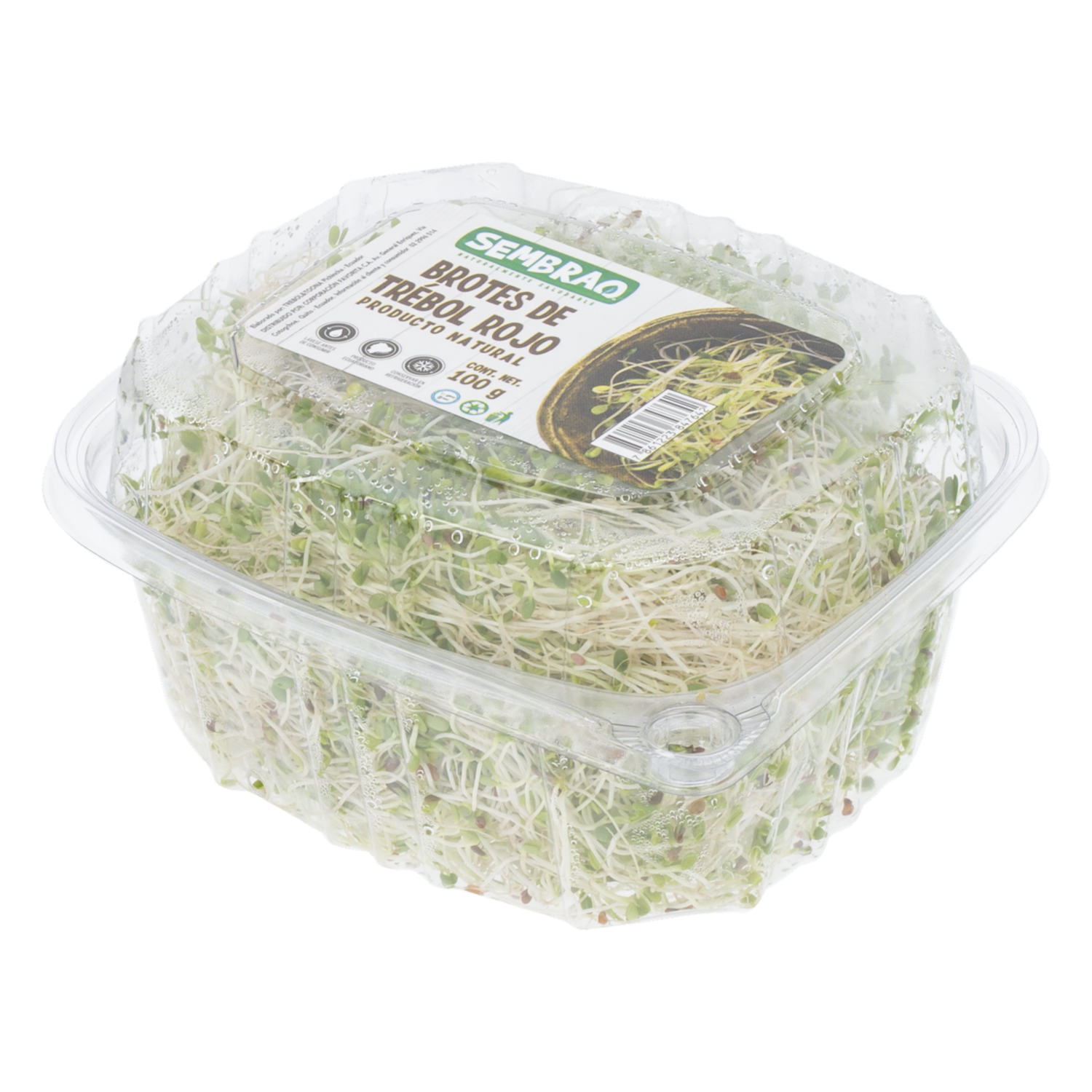Brotes De Trébol Rojo SEMBRAO 100 G
