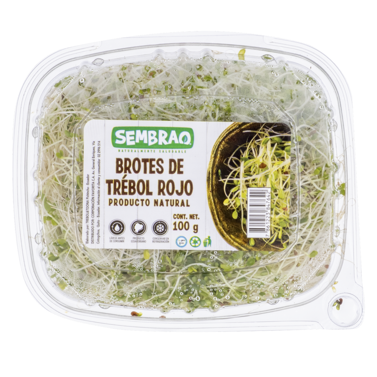 Brotes De Trébol Rojo SEMBRAO 100 G