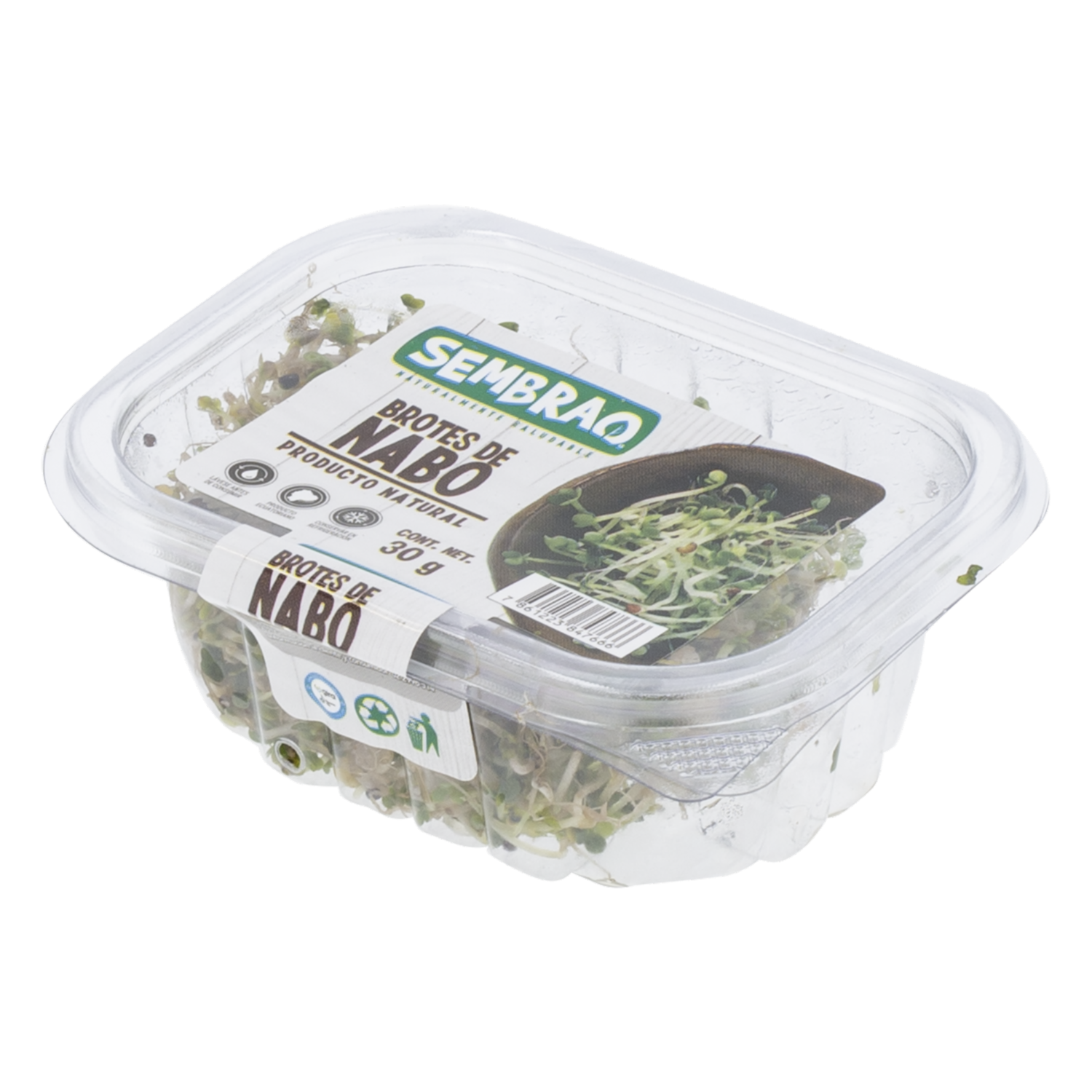 Brotes De Nabo SEMBRAO 30 G