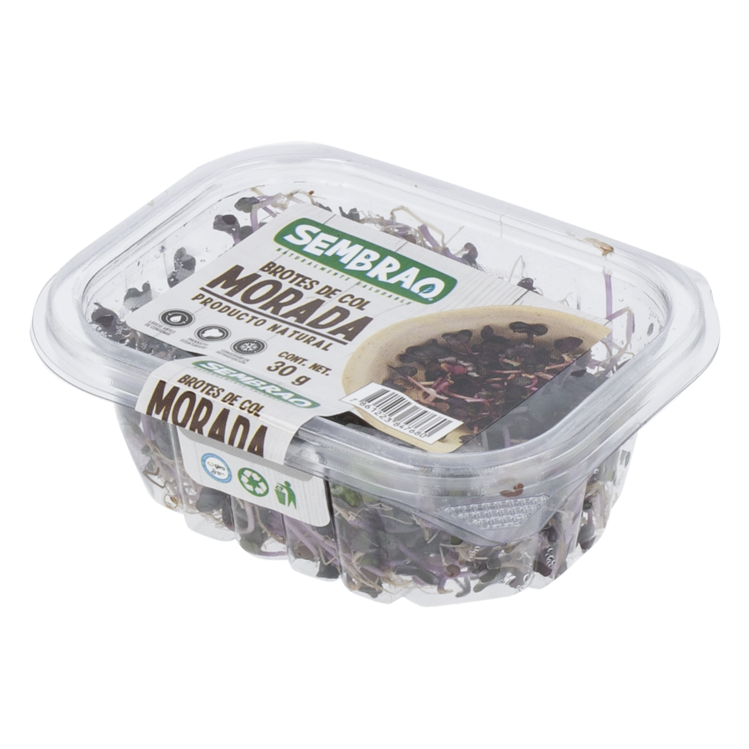 Brotes De Col Morada SEMBRAO 30 G