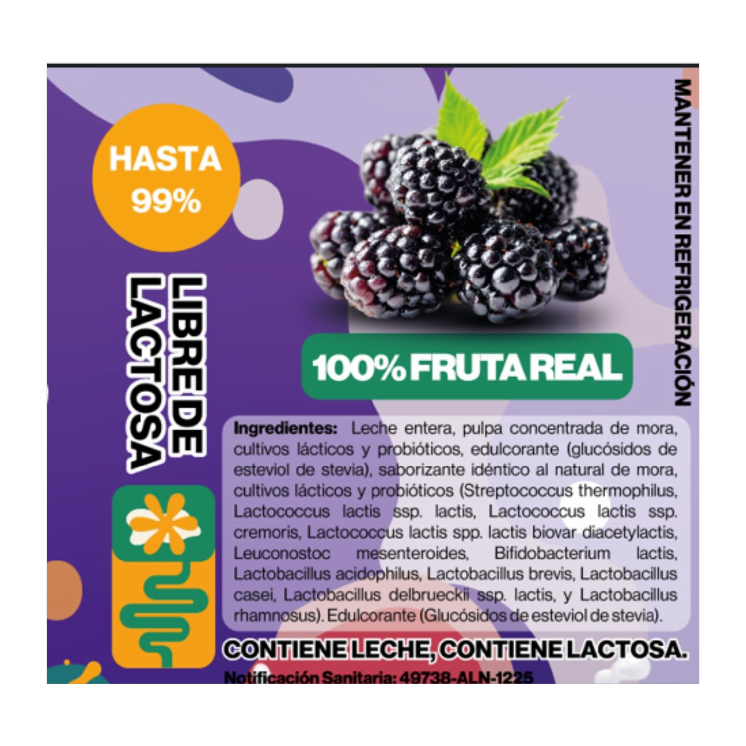 Kéfir Kids Bebida Probiótica Mora EN VIDA 200 Ml