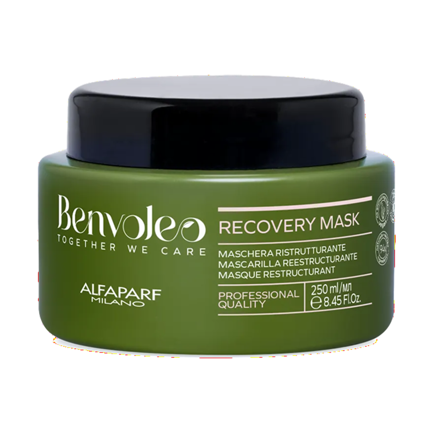 Mascarilla Capilar Reestructurante BENVOLEO 250 Ml