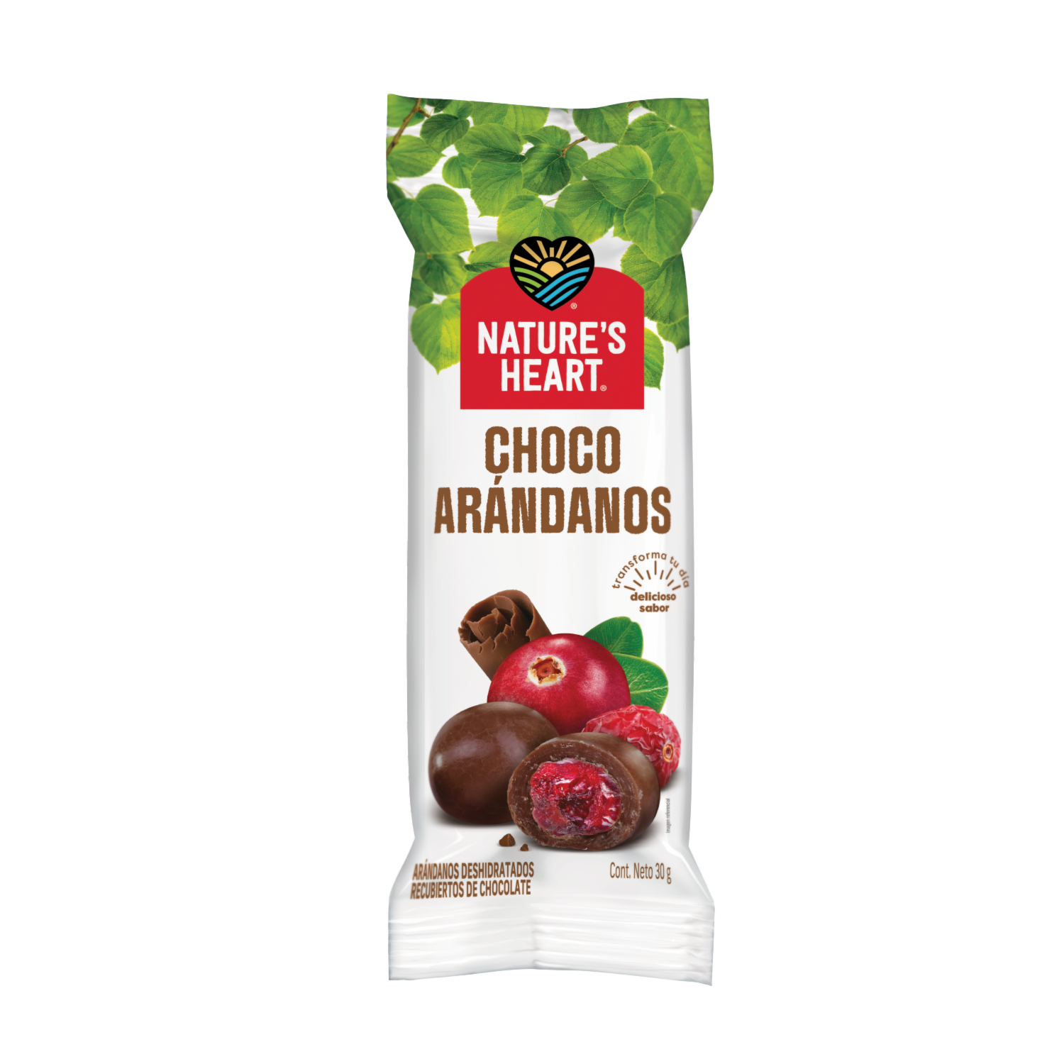 Frutos Secos Choco Arándanos NATURE´S HEART 30 G